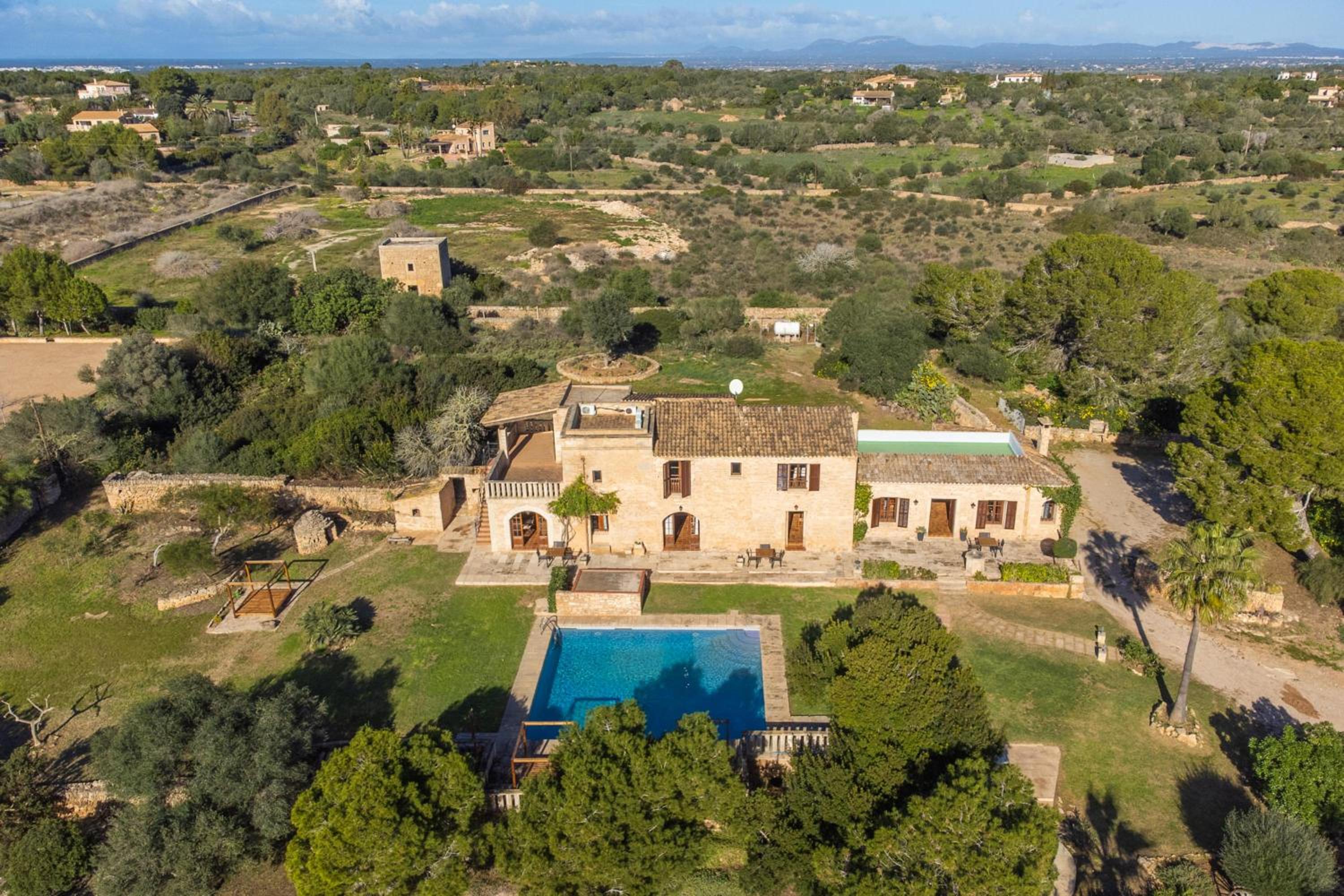 Es turo de Formentera