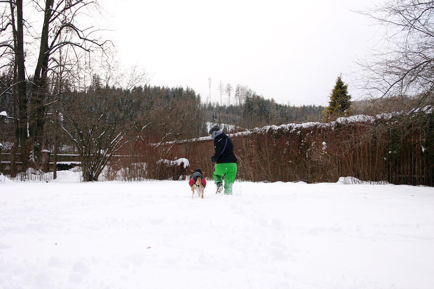 Glögglhof