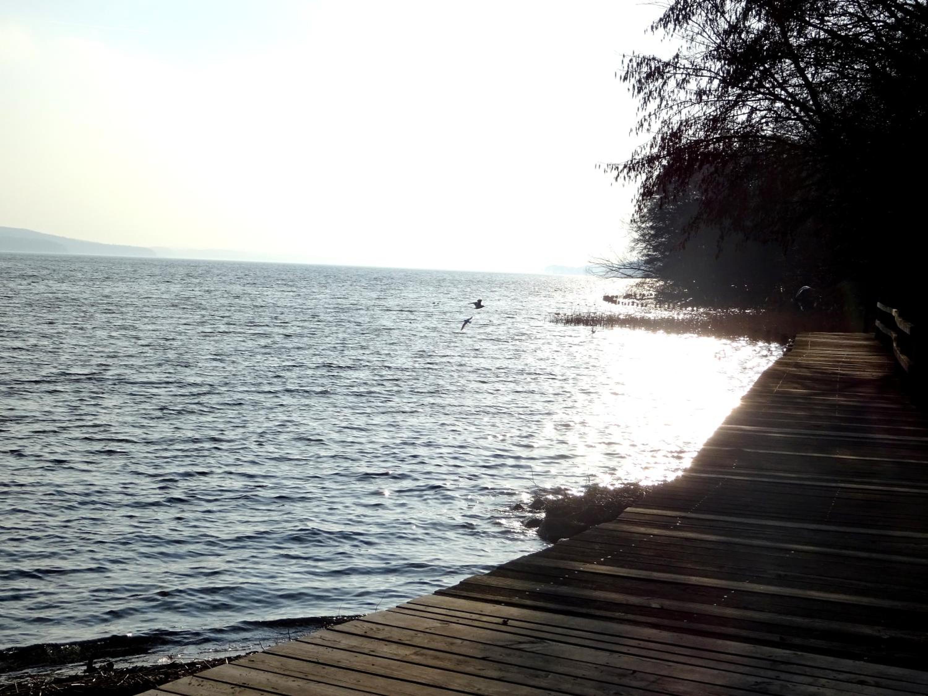 Photo 43