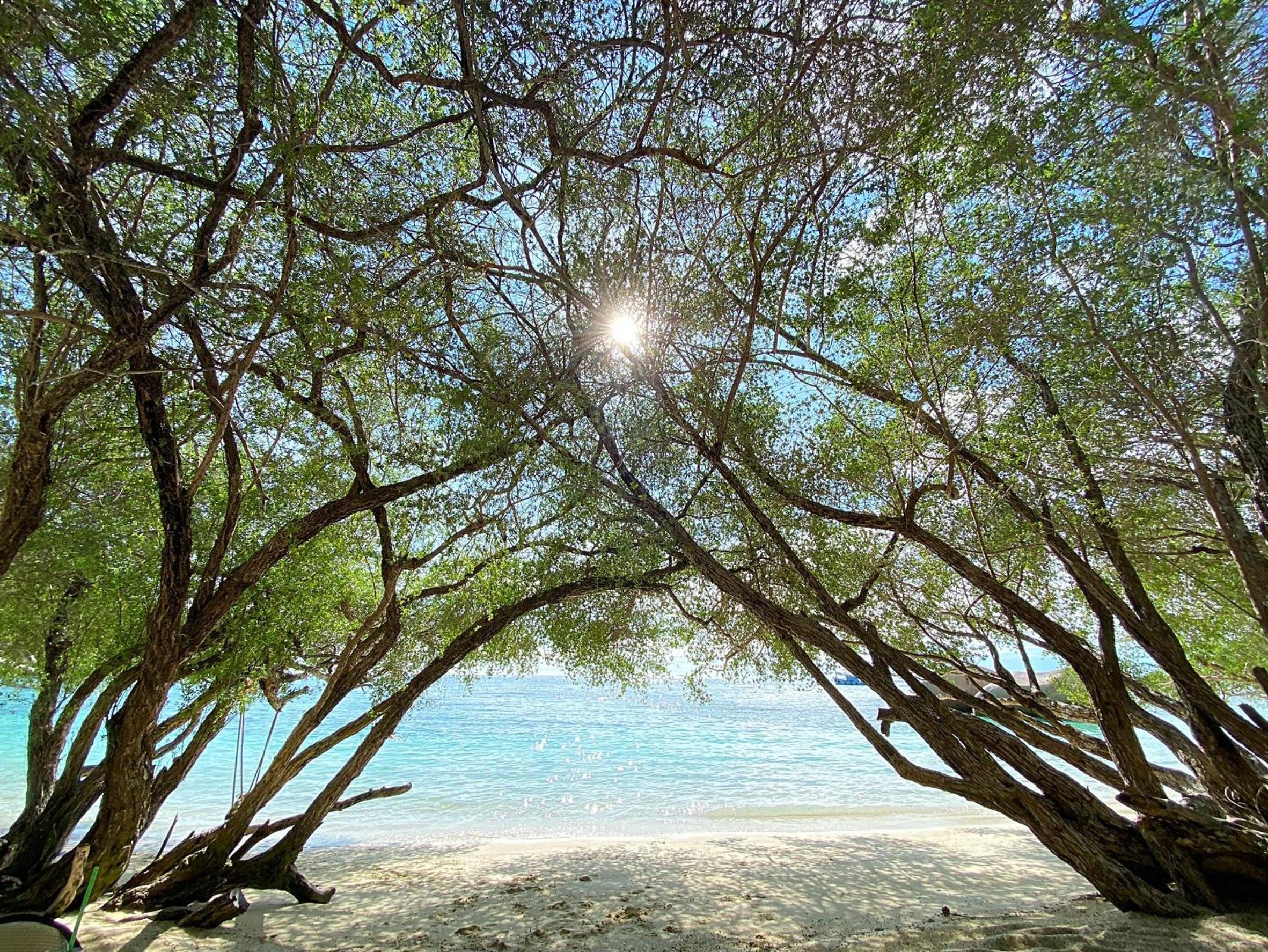 Koh Tao Relax Freedom Beach Resort