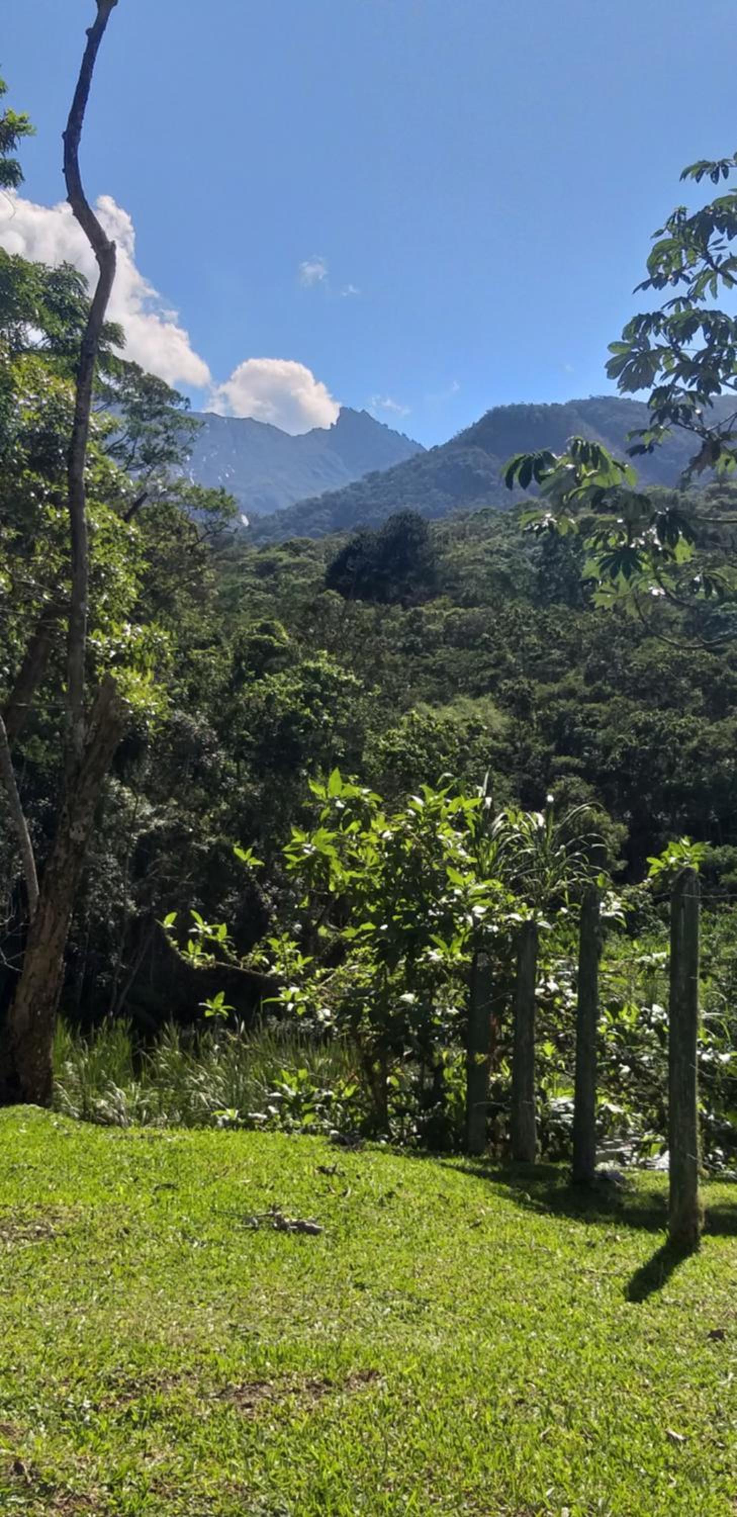 Casa Refúgio da floresta na Serra