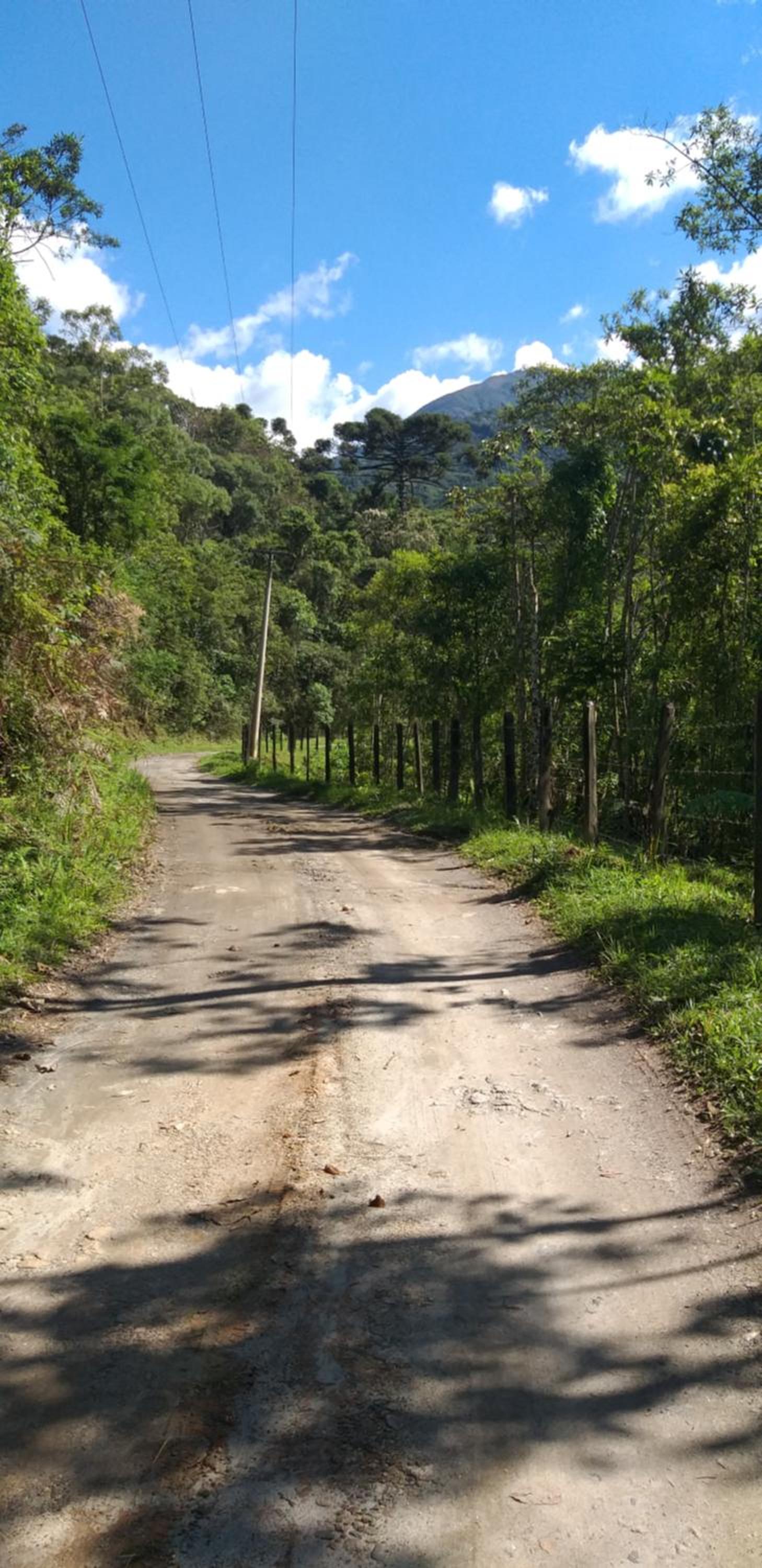 Casa Refúgio da floresta na Serra