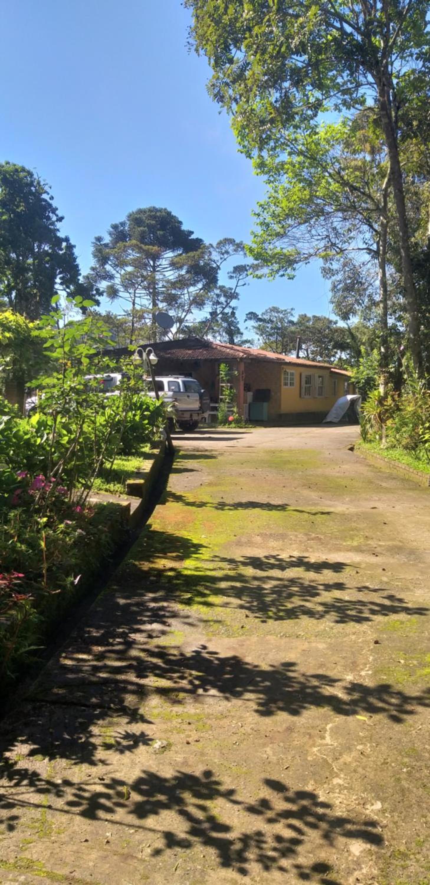Casa Refúgio da floresta na Serra