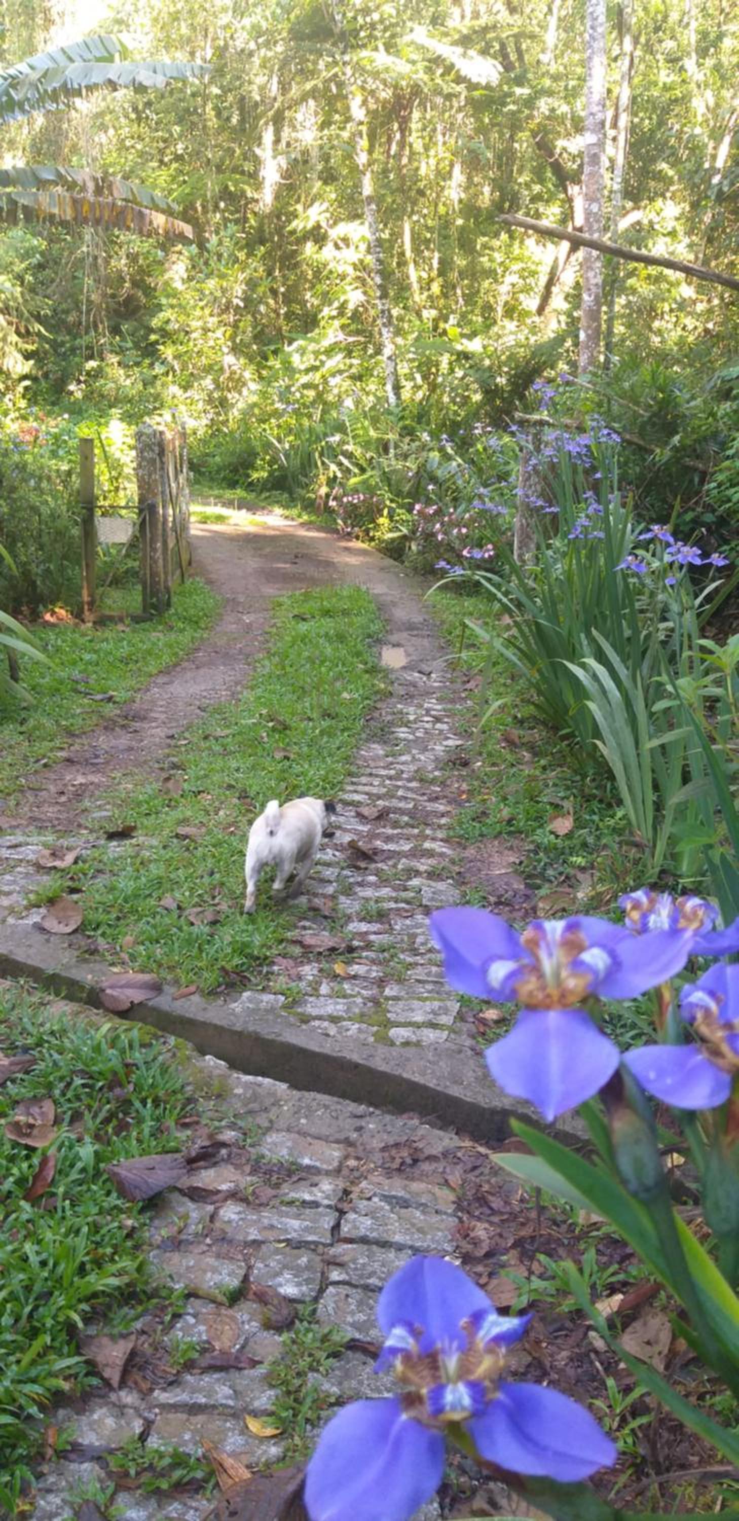 Casa Refúgio da floresta na Serra