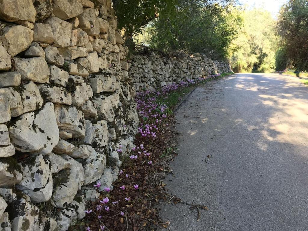 Photo 23