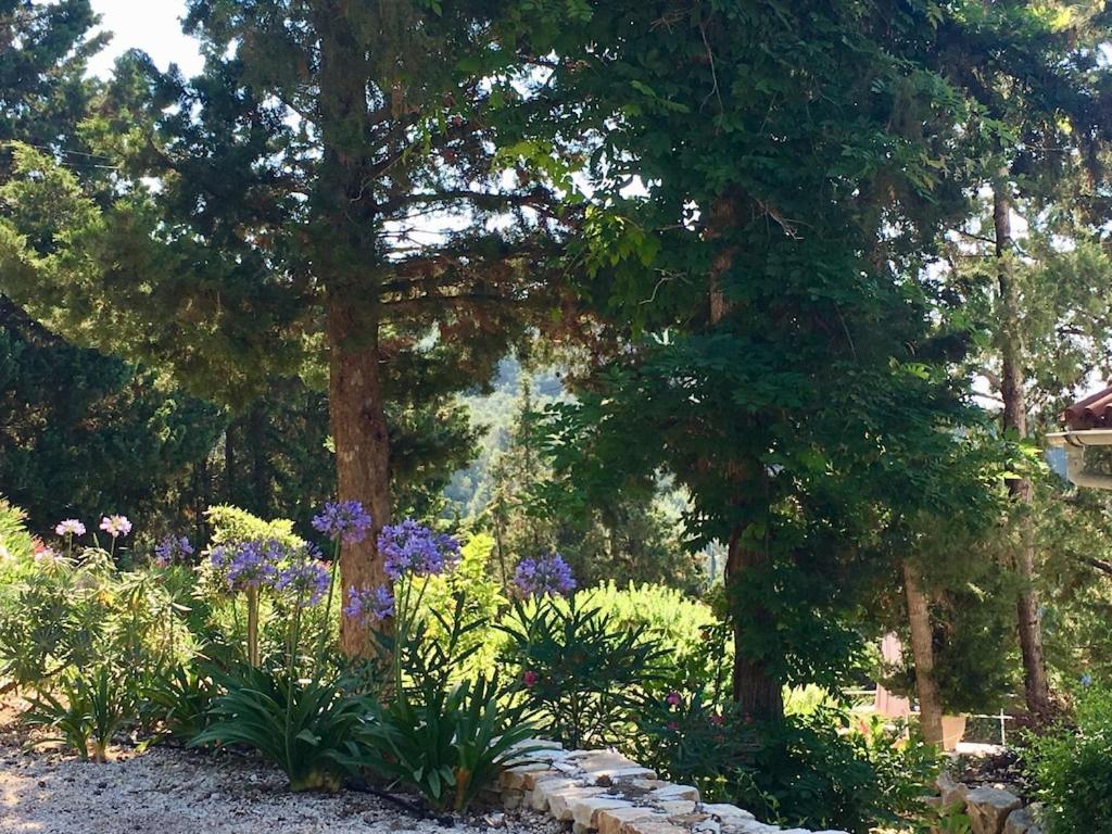 Villa Paparouna view 5