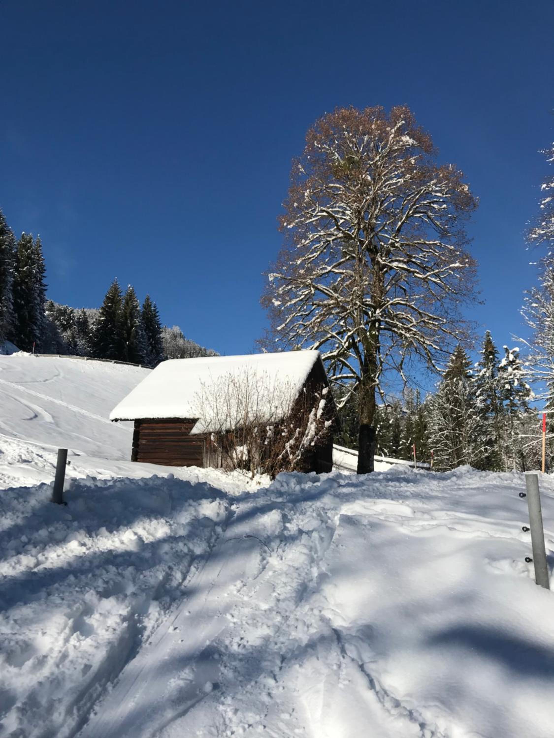Kaiserblick Goisern