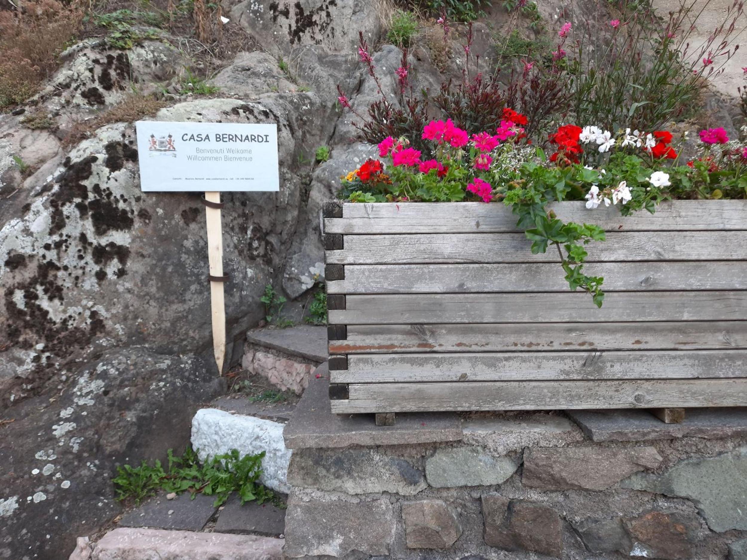 Photo 41