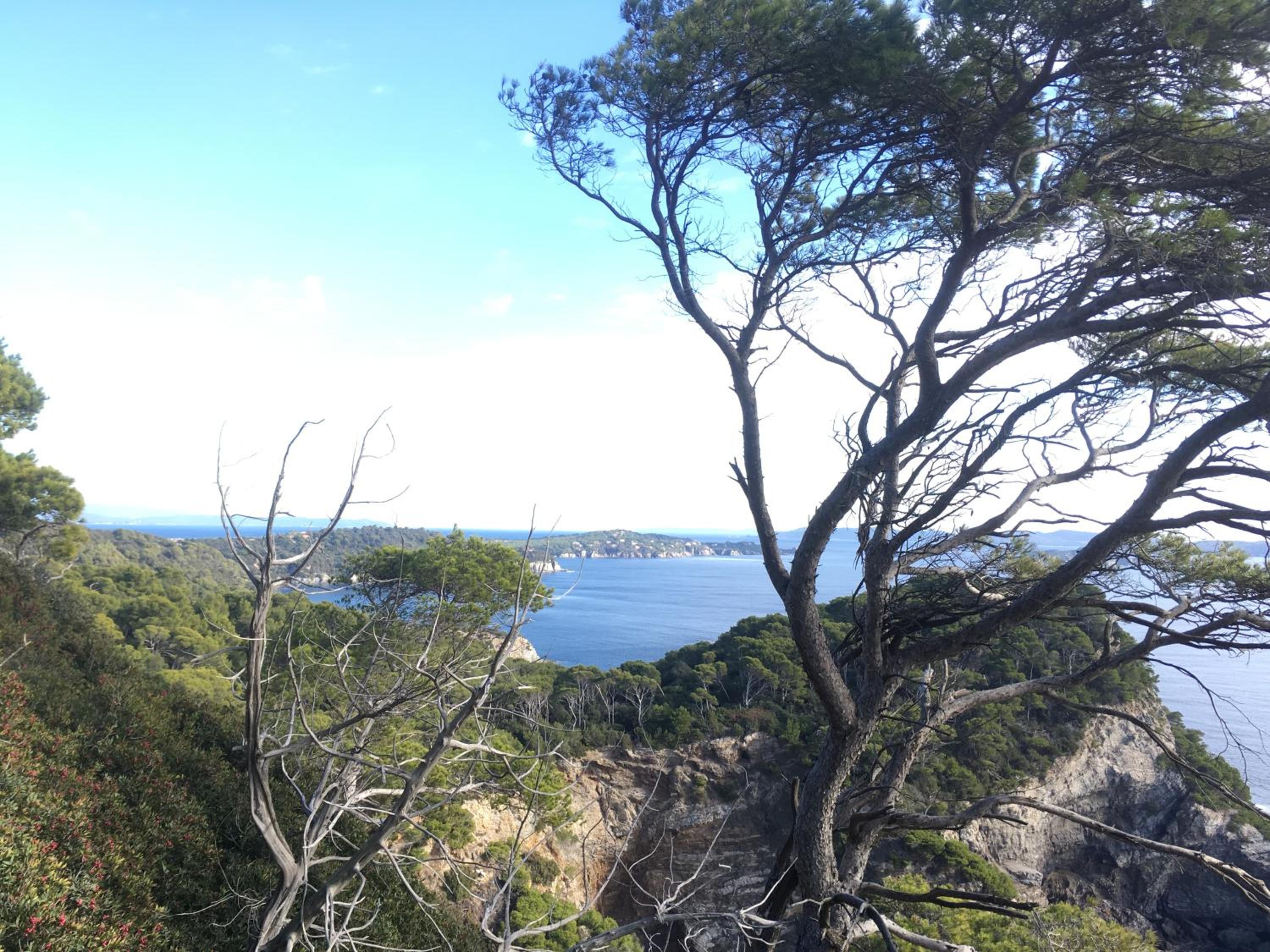 Hyeres Vacations - Les Sables d'Or - Property Image 7