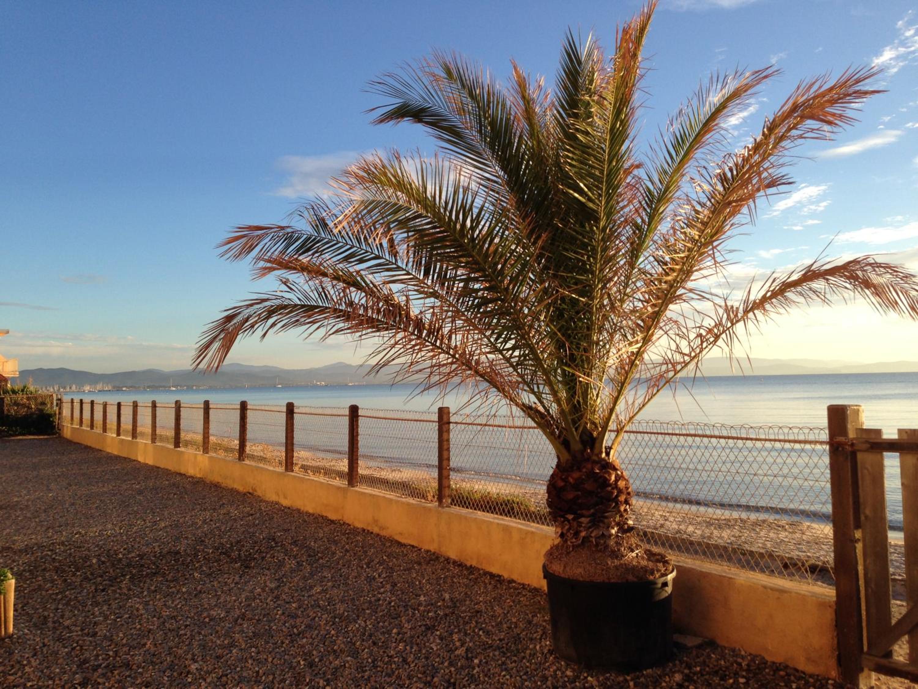 Hyeres Vacations - Les Sables d'Or - Property Image 11