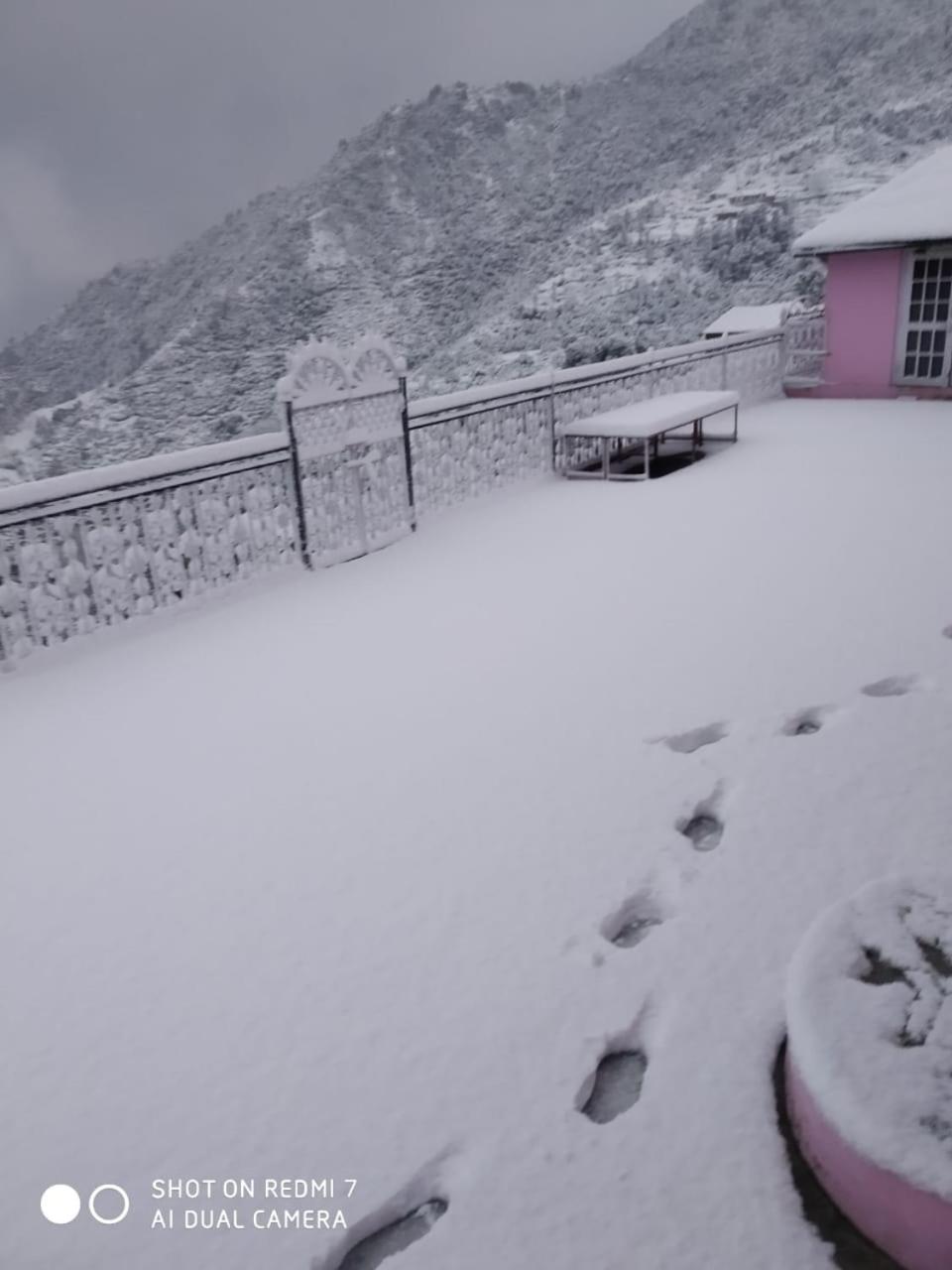 Photo 6