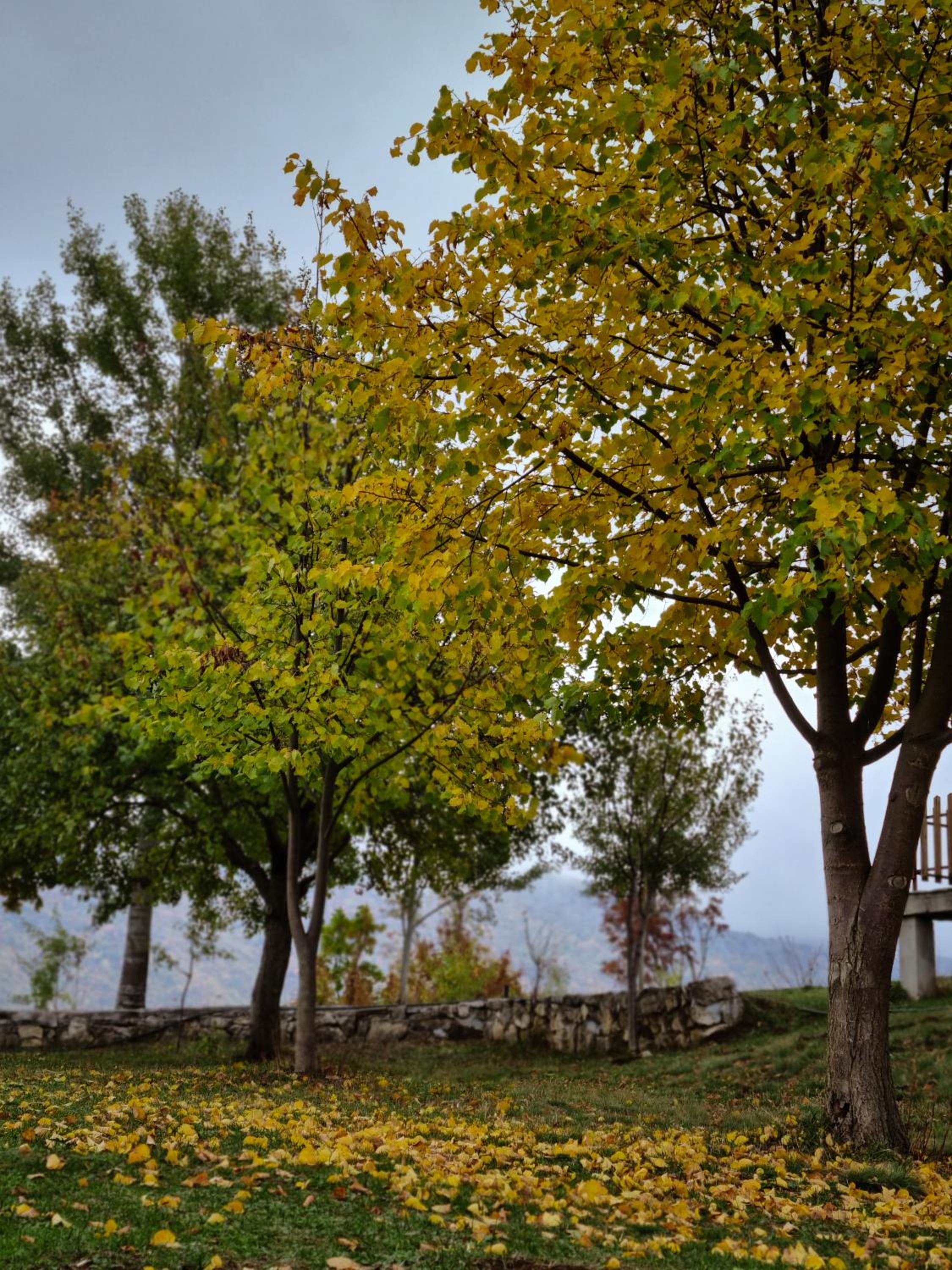 Etno selo Izlazak