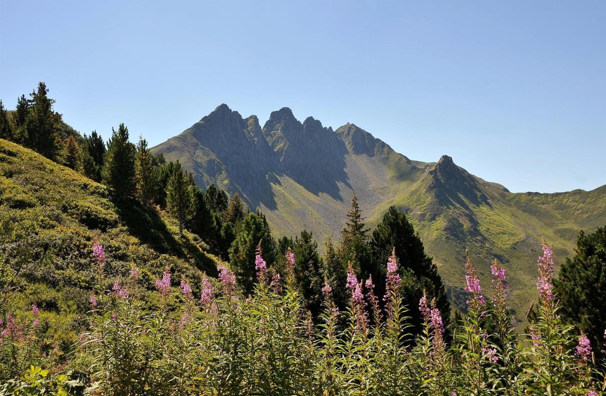 Photo 48
