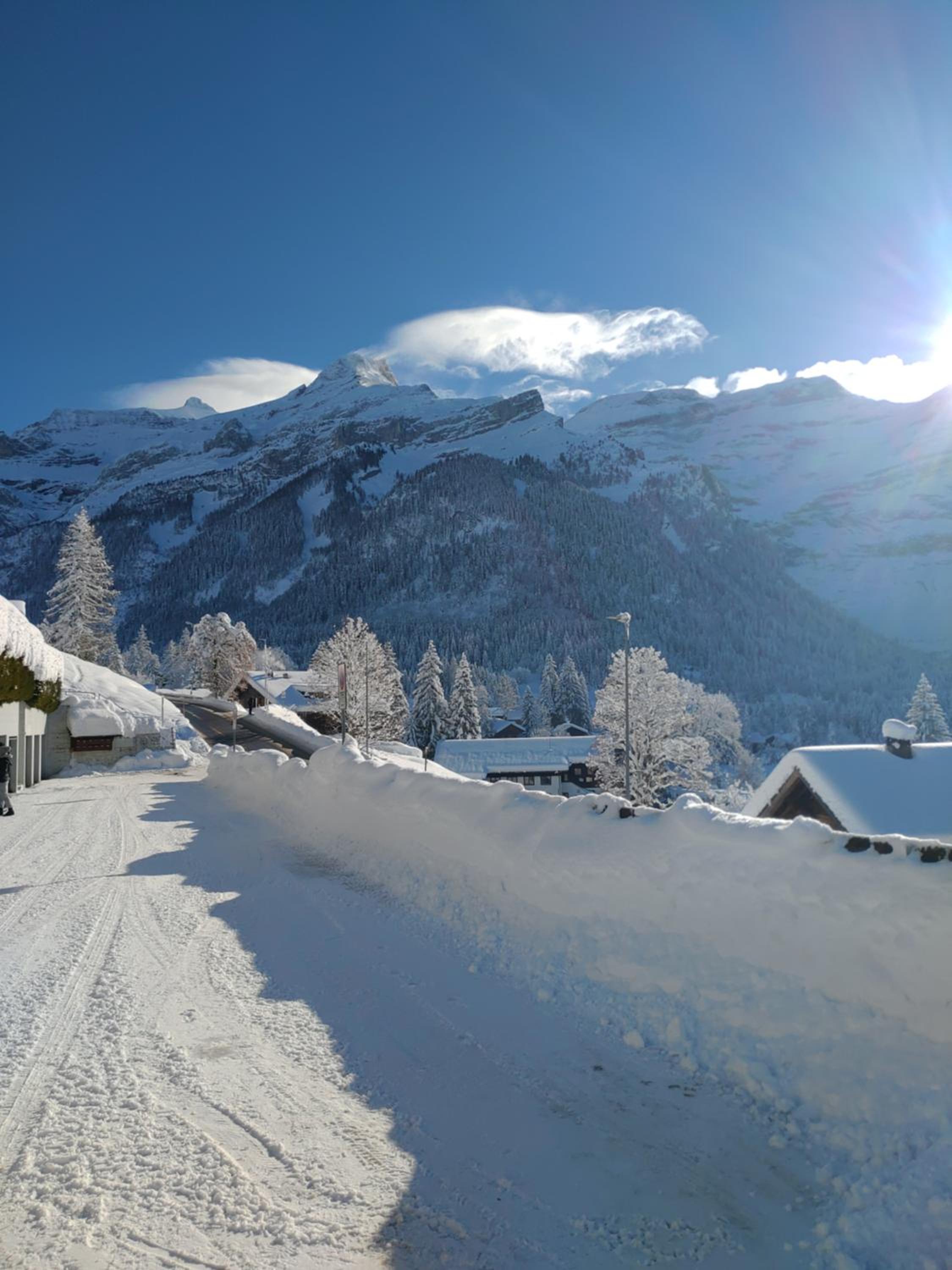 Studio avec vue splendide sur les Diablerets