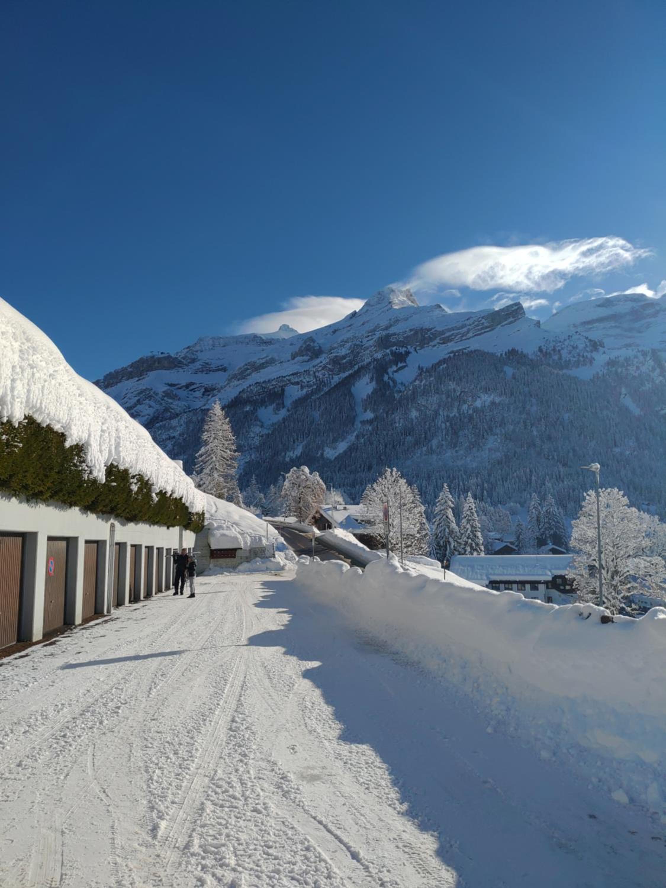 Studio avec vue splendide sur les Diablerets