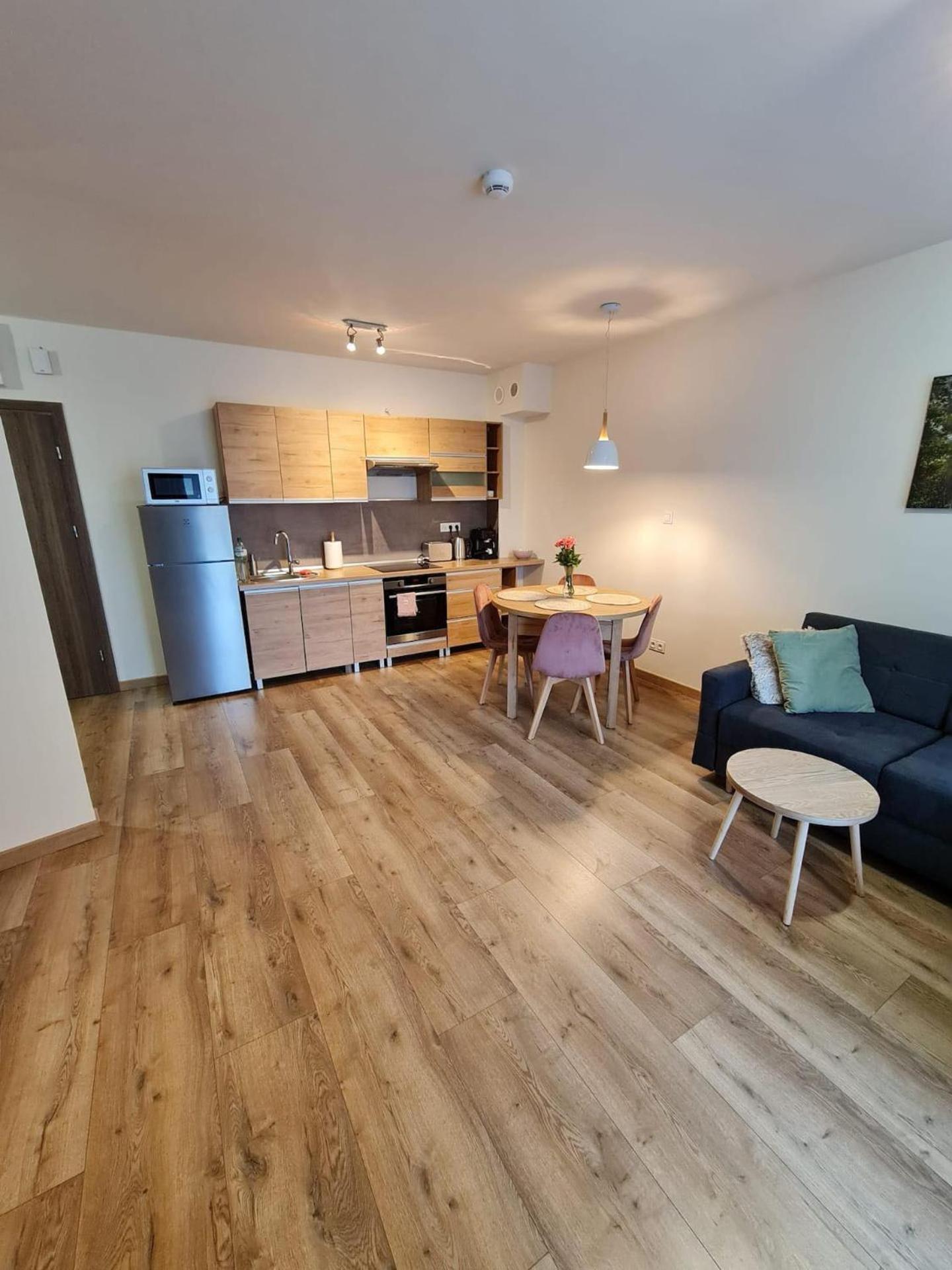 Apartament Familijny view 2