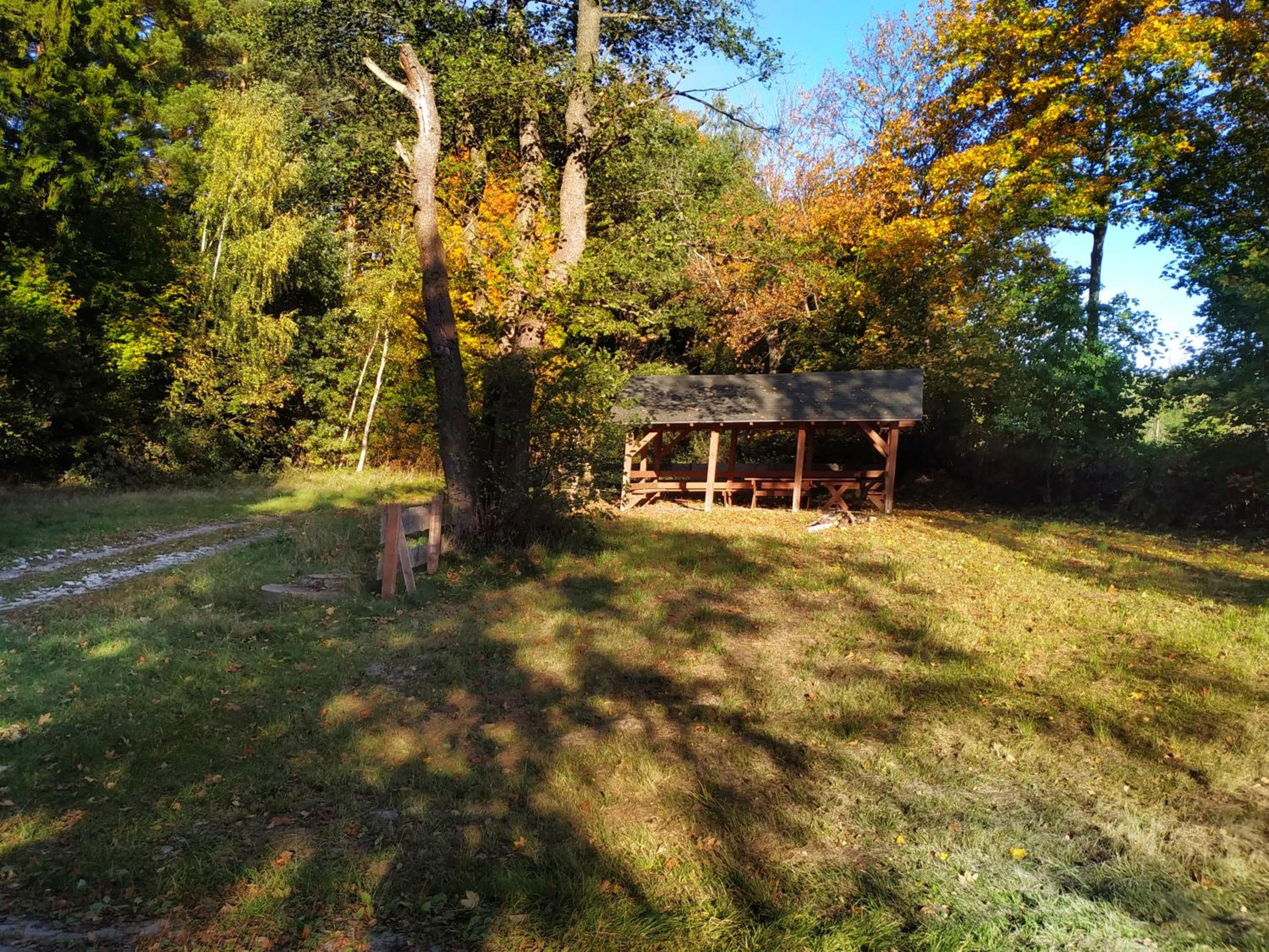 Photo 22