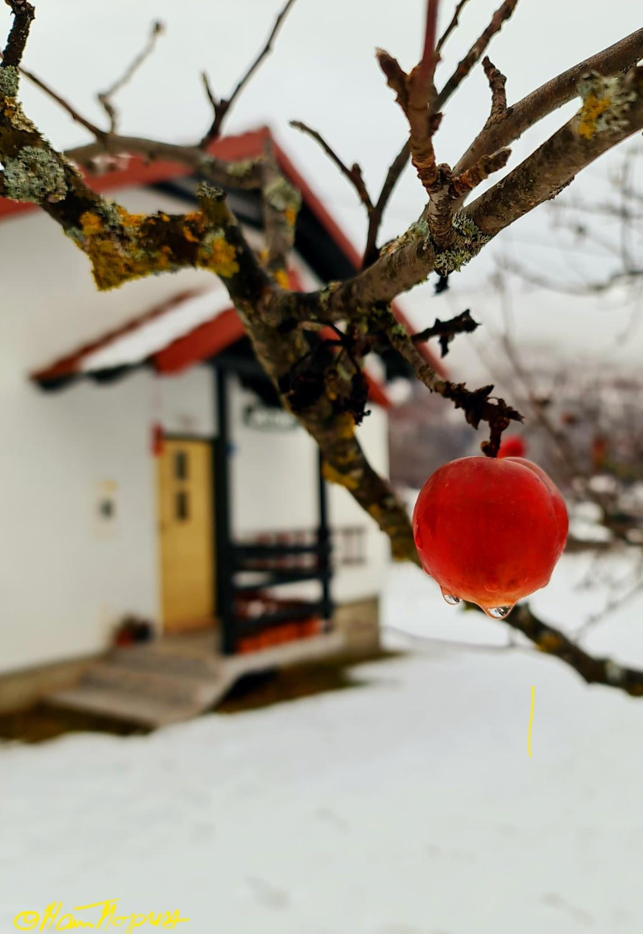 Kosta's romantic house view 3