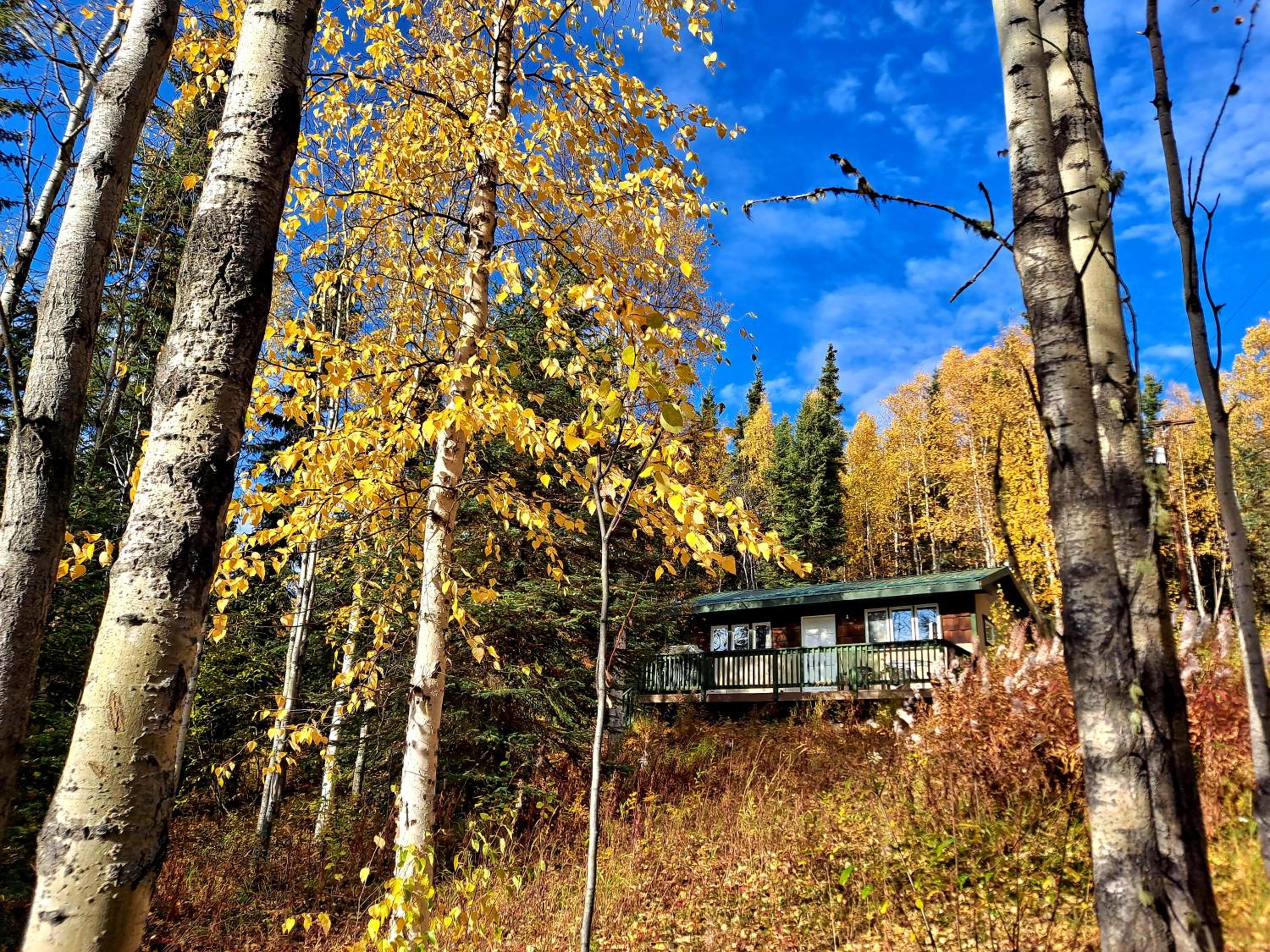 Northwoods Cottage Bed and Breakfast