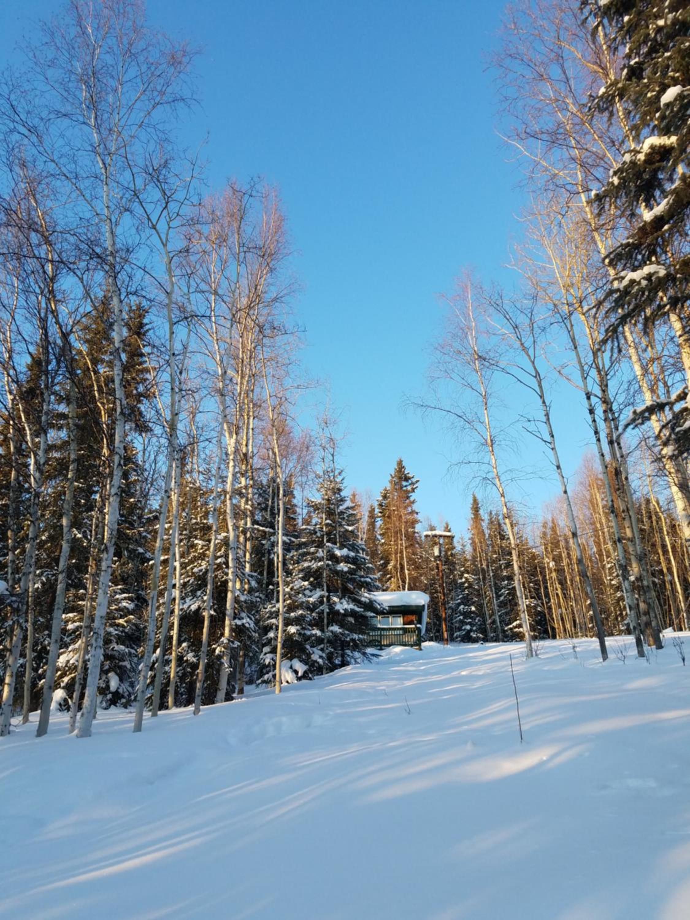 Northwoods Cottage Bed and Breakfast