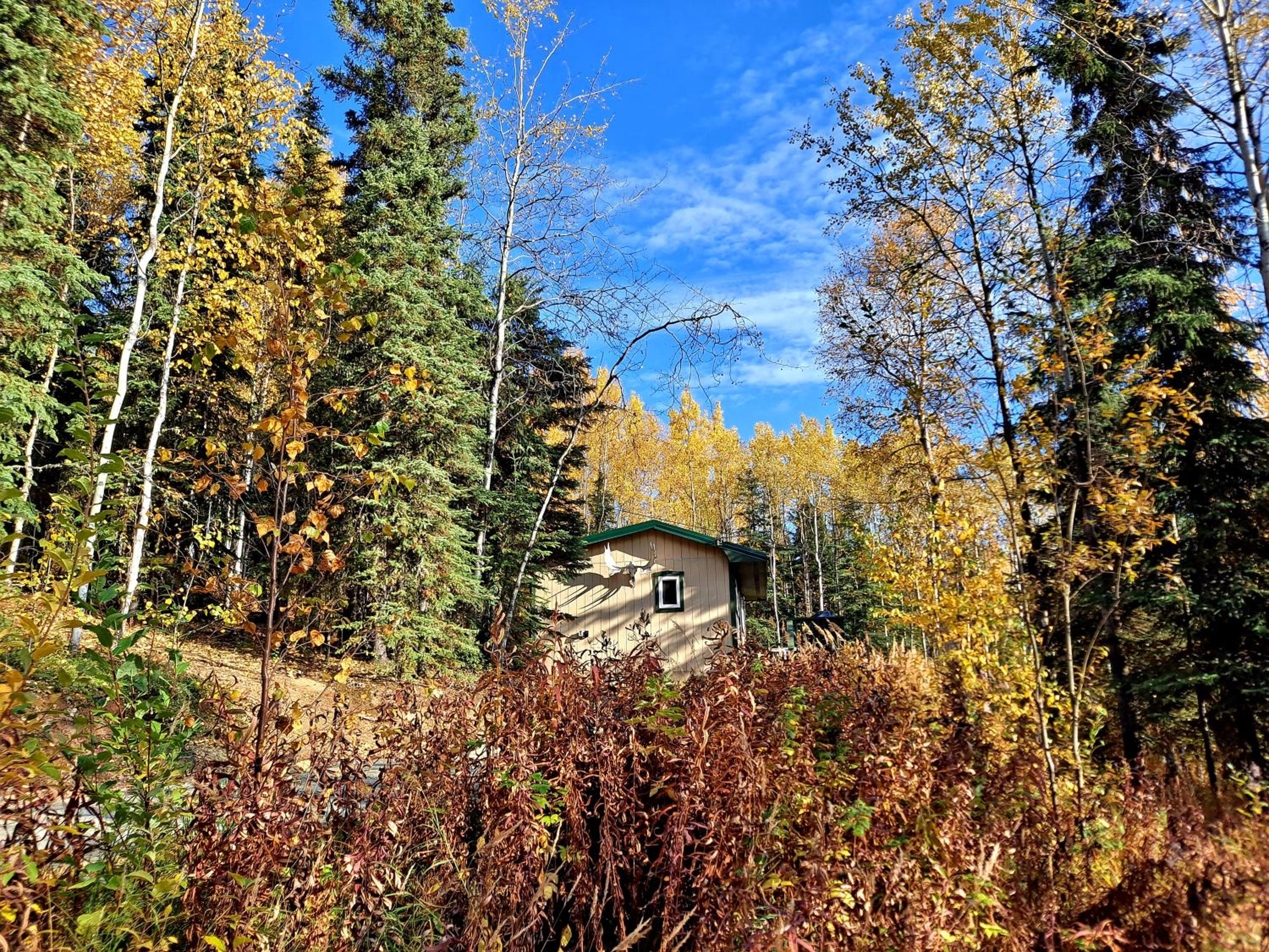 Northwoods Cottage Bed and Breakfast