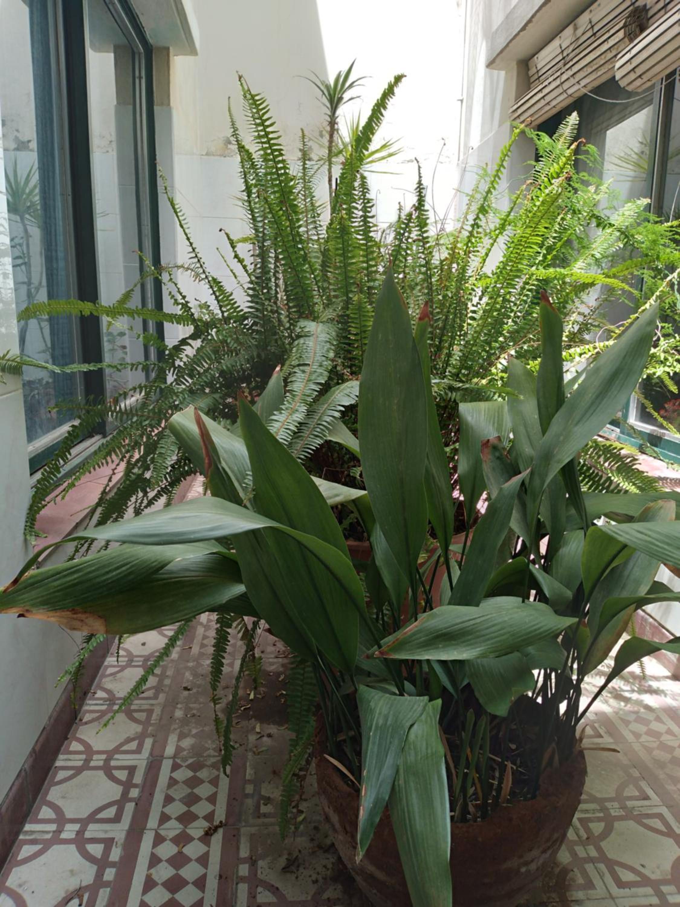 other