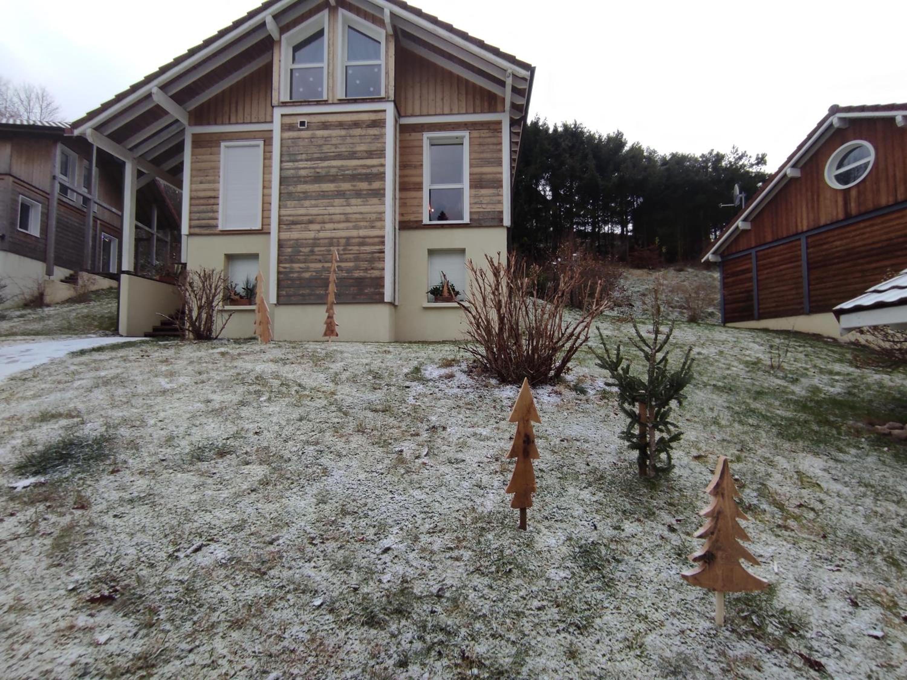 Photo 41