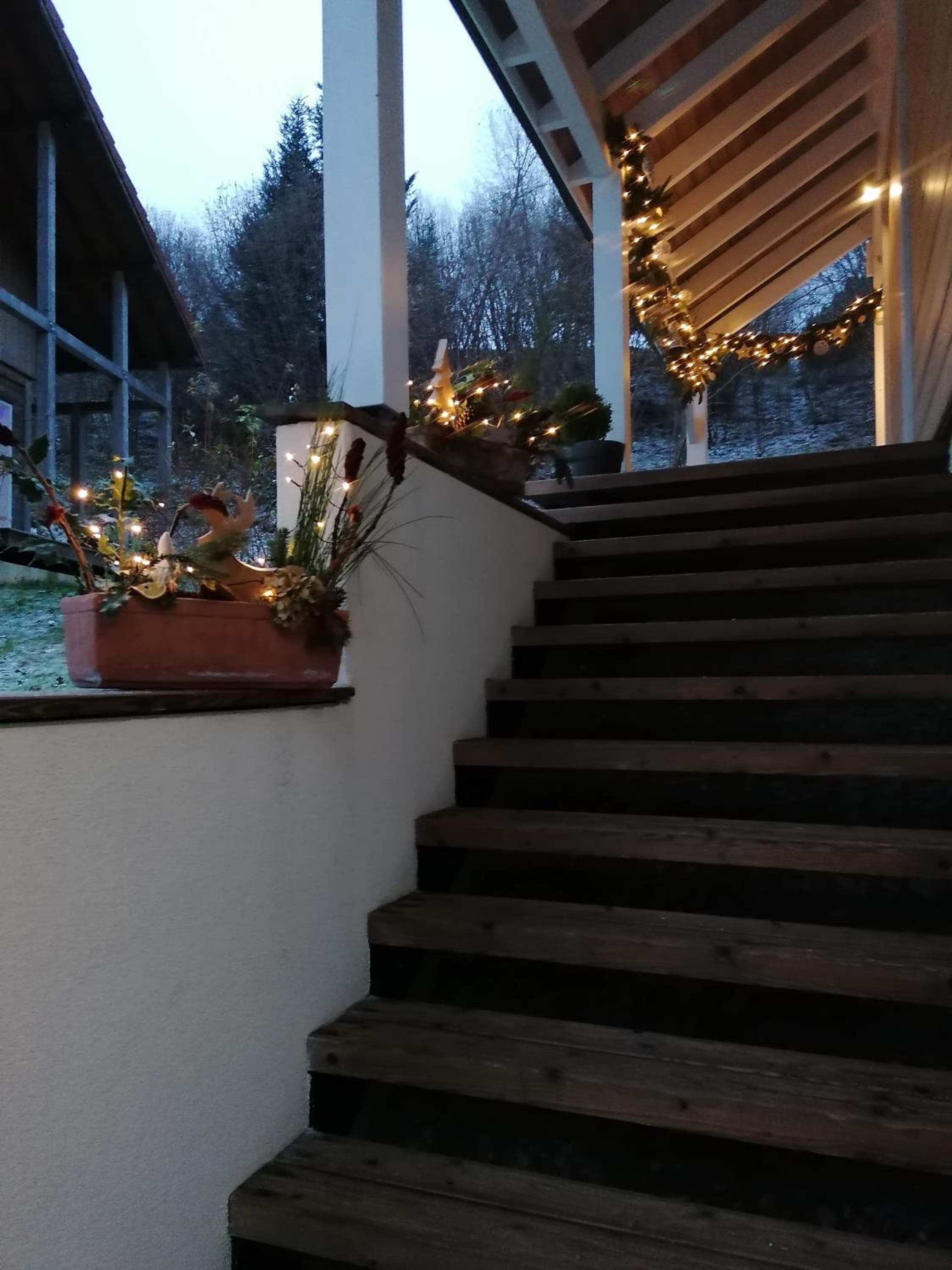 Photo 48