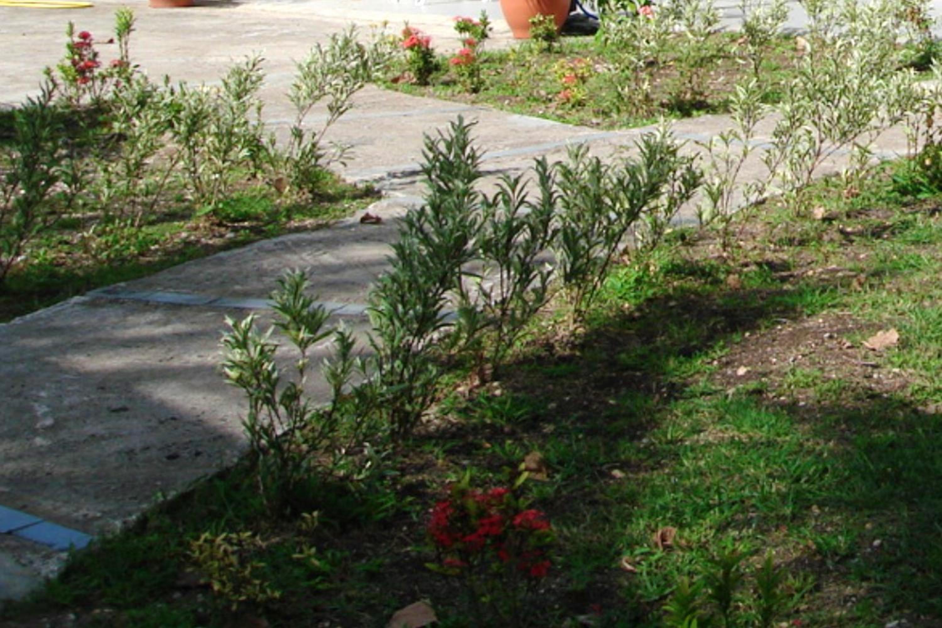 Photo 7