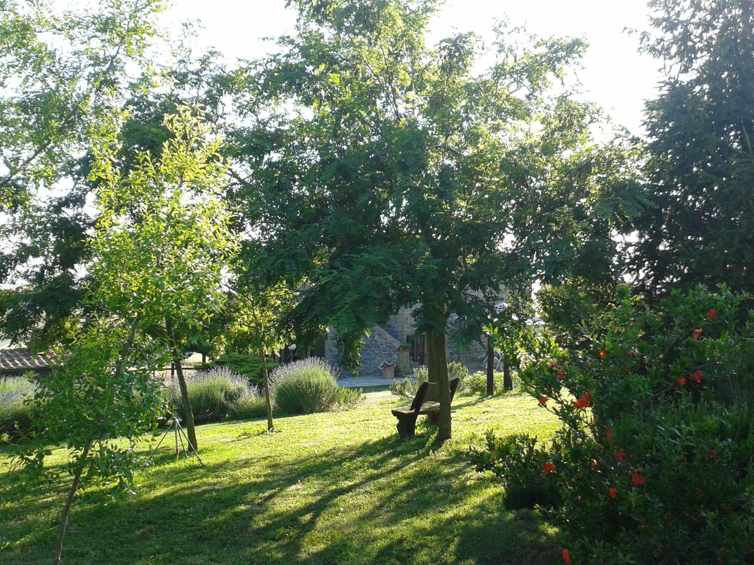 Photo 42