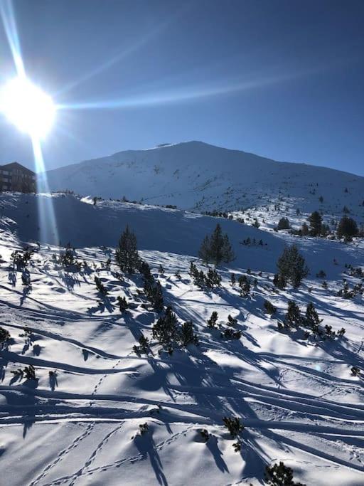 BREATHTAKING Mountain view 3 bedrooms appartement view 4