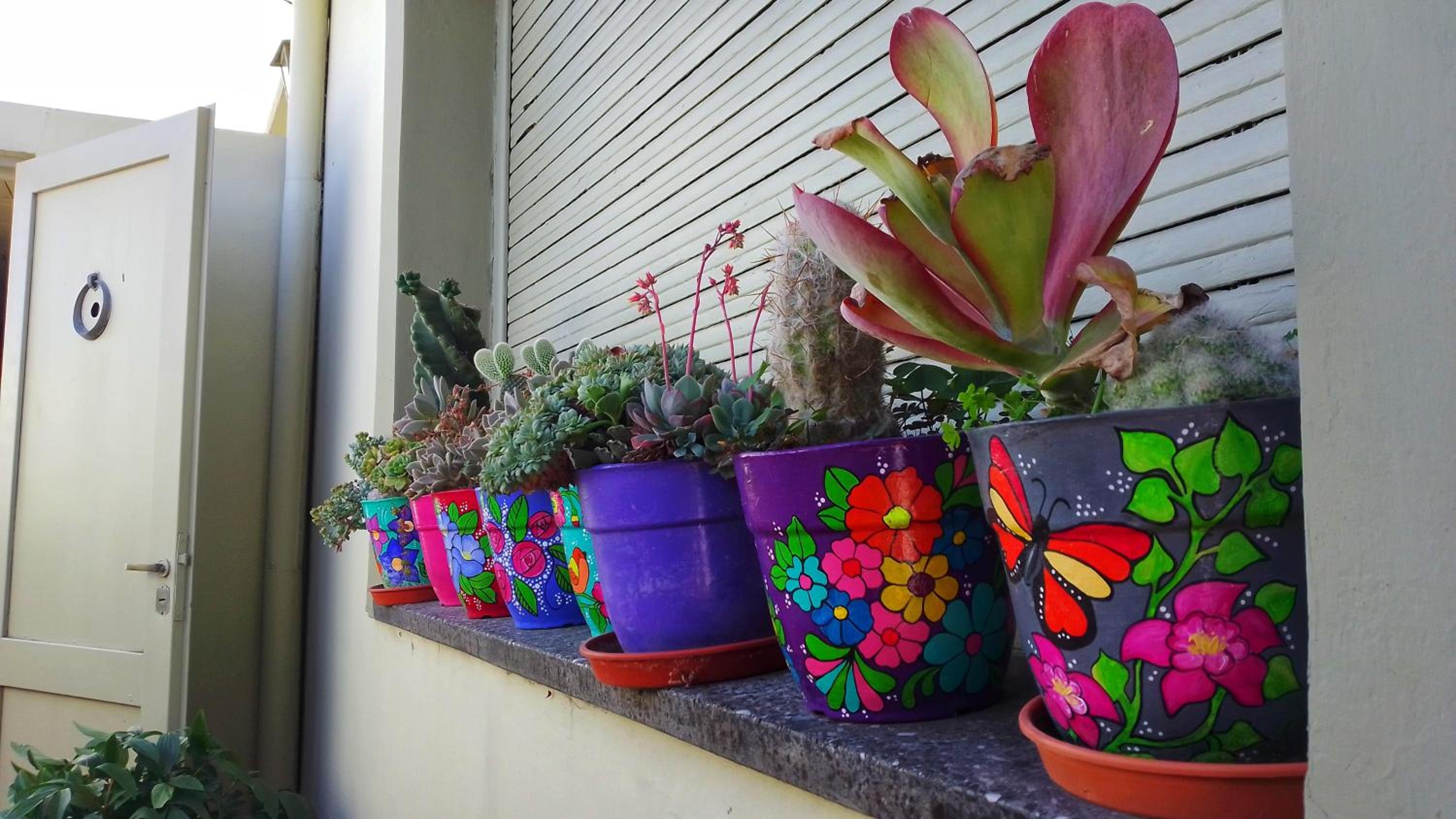 Mariposas del Parque