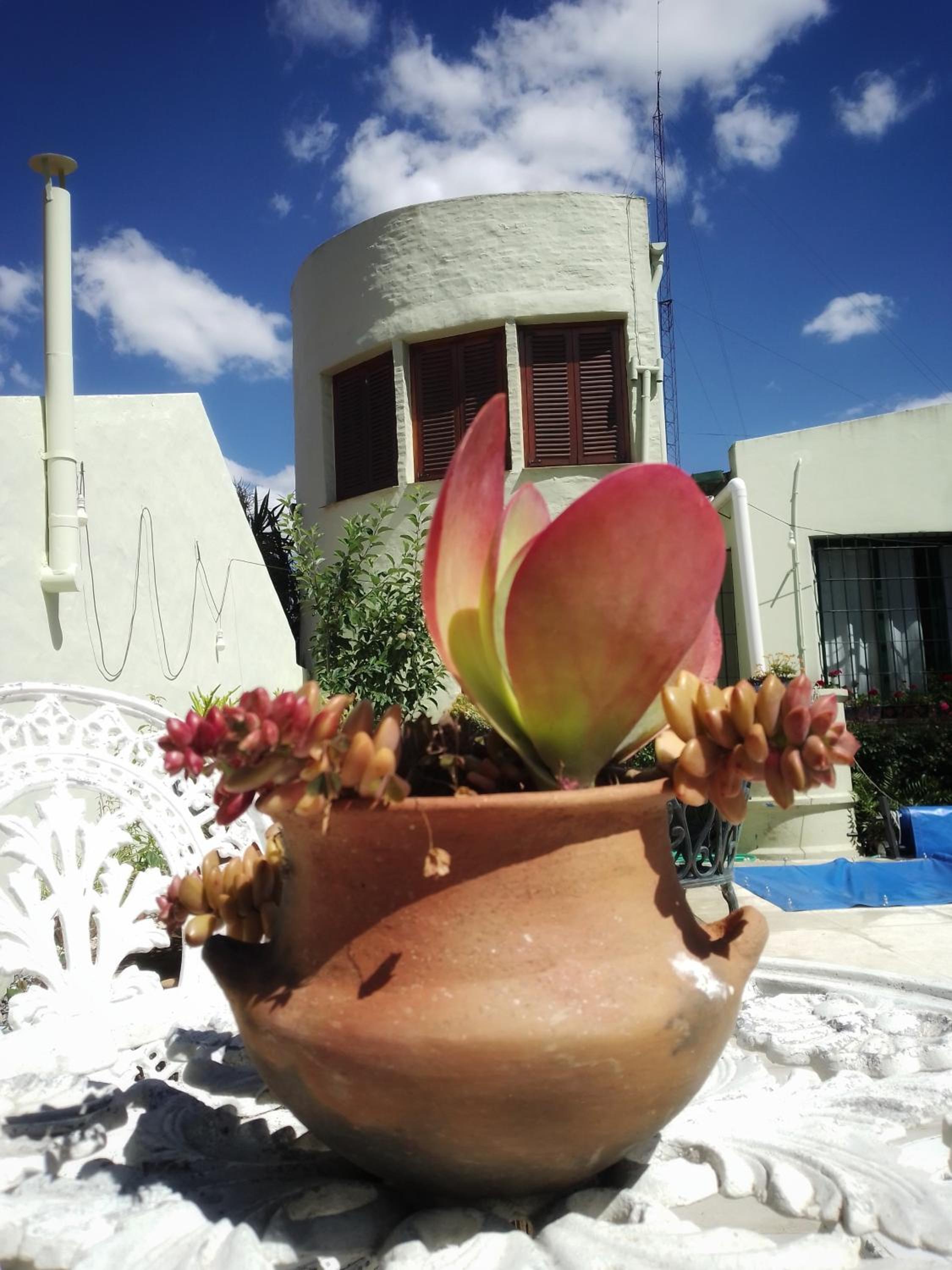 Mariposas del Parque