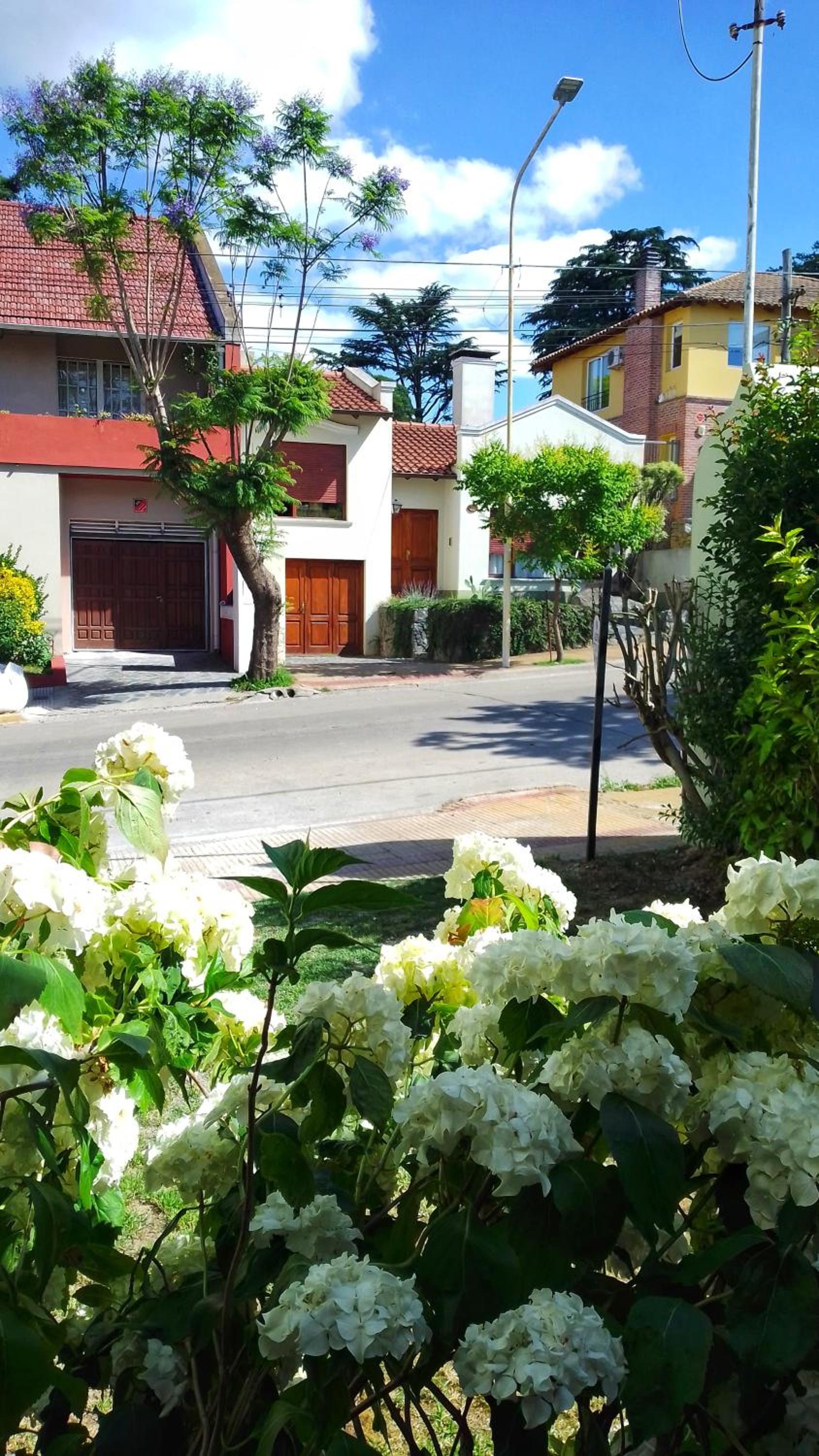 Mariposas del Parque