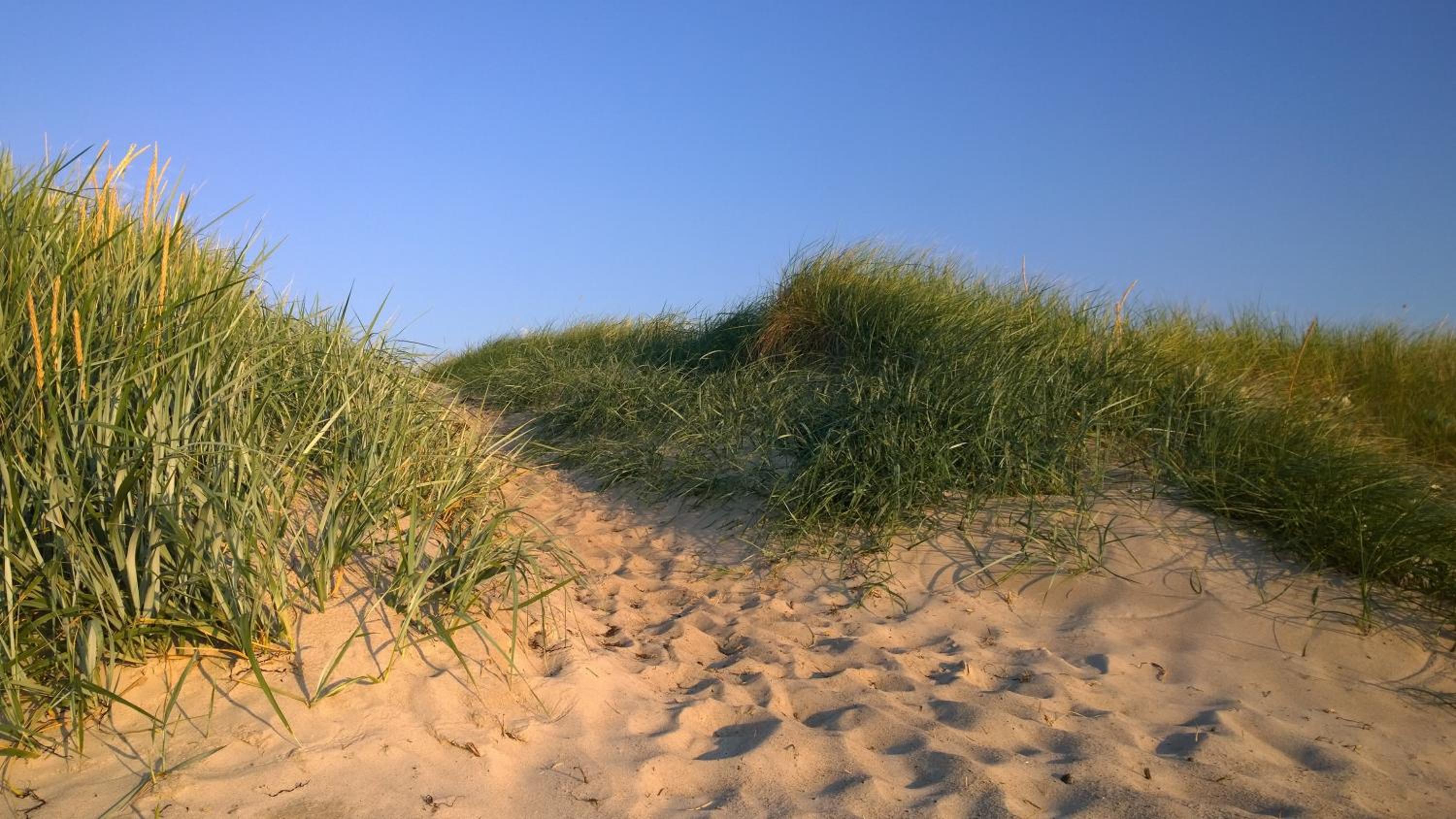 Ostsee Ferienappartement Dierhagen-Strand