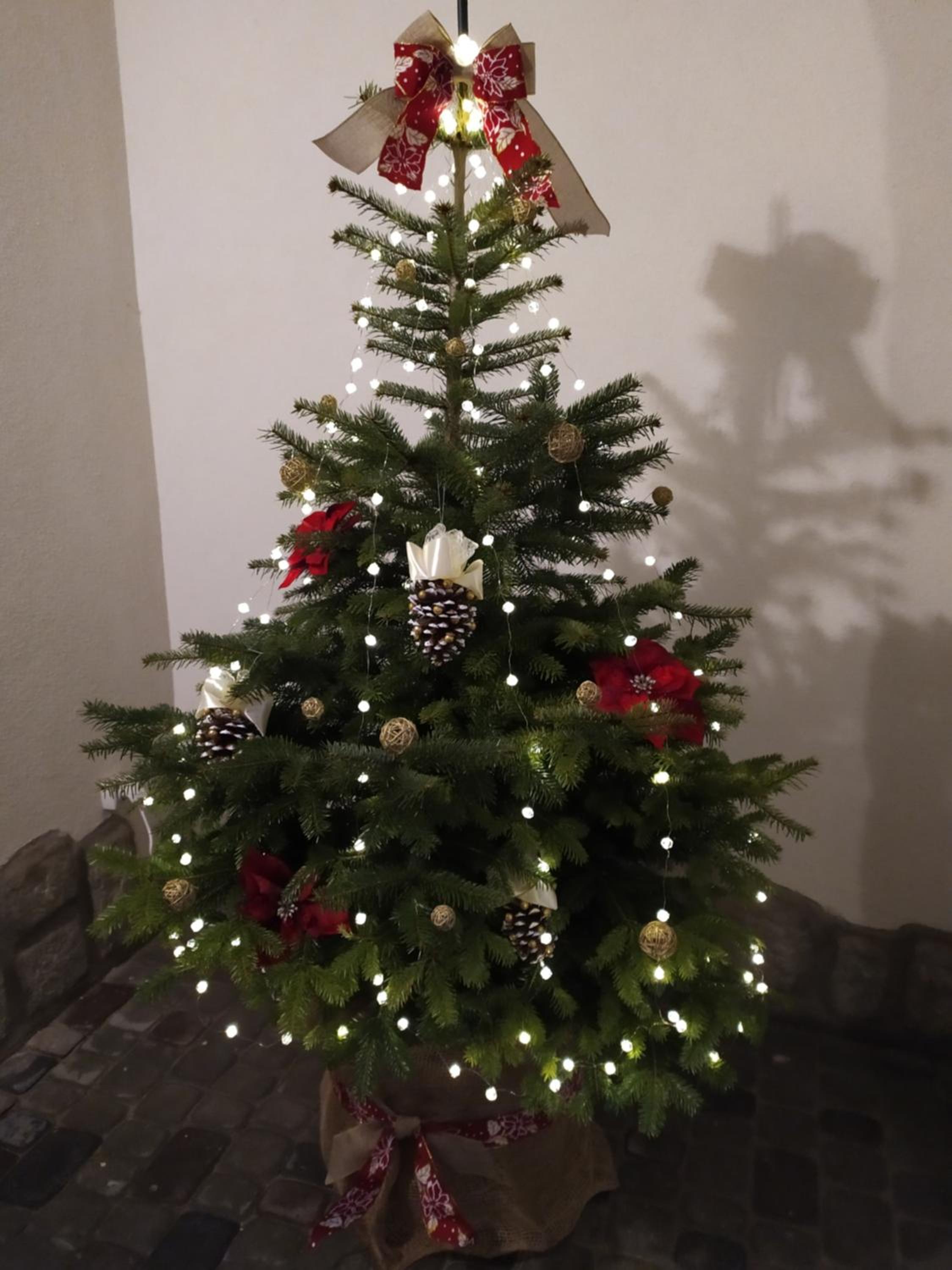 Photo 37