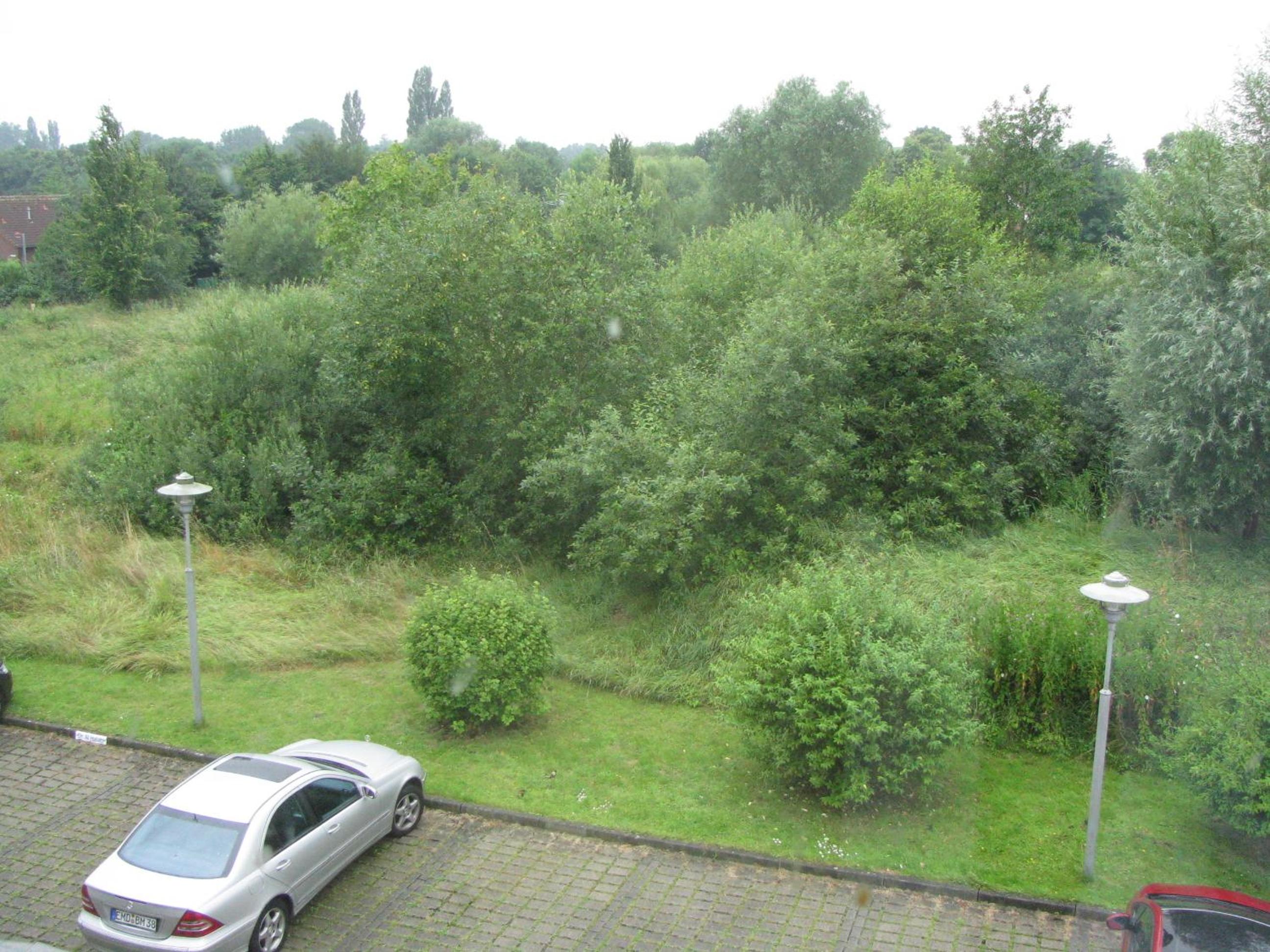 Photo 36