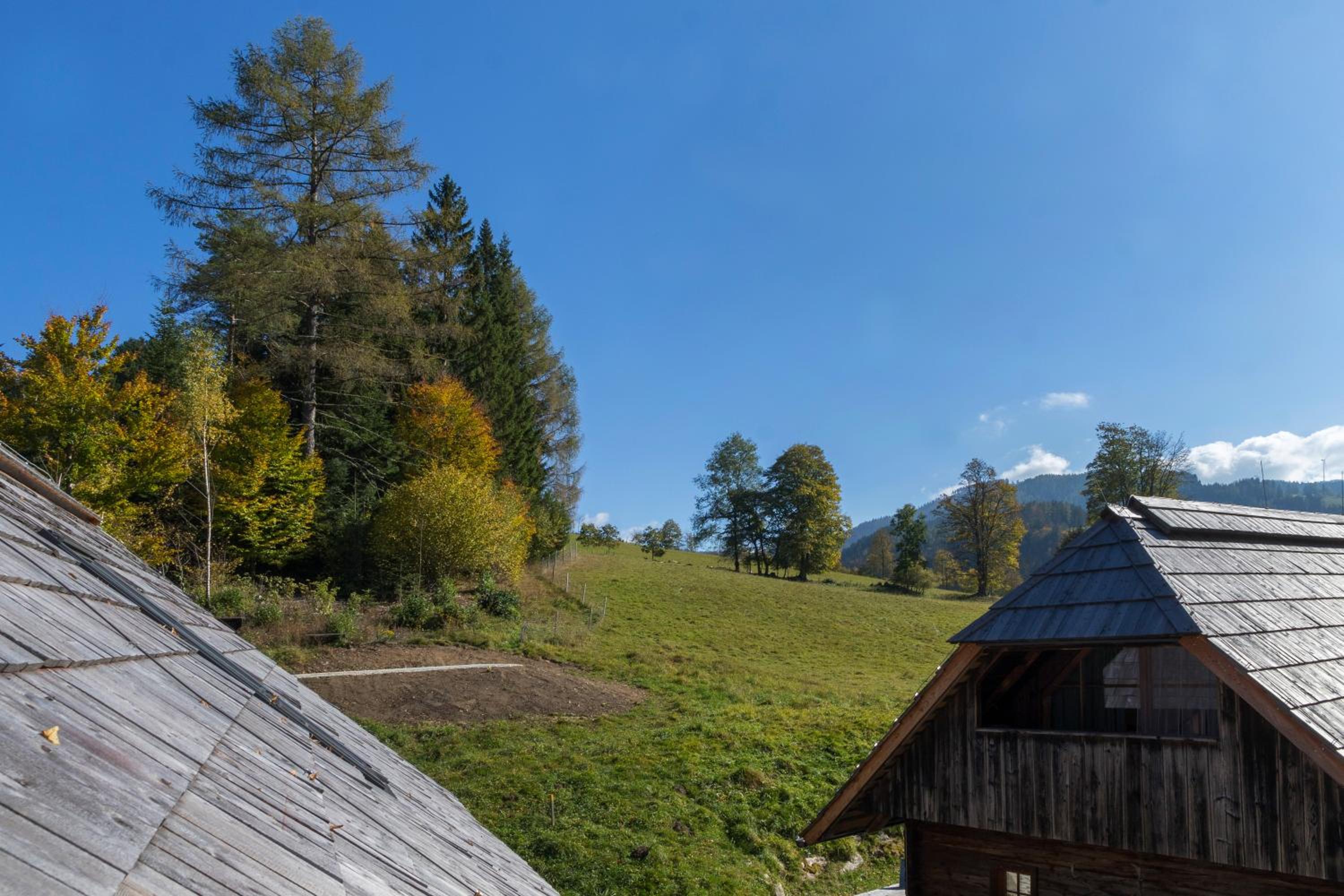 Charmante Gästewohnung in altem Bauernhaus in alpiner Alleinlage