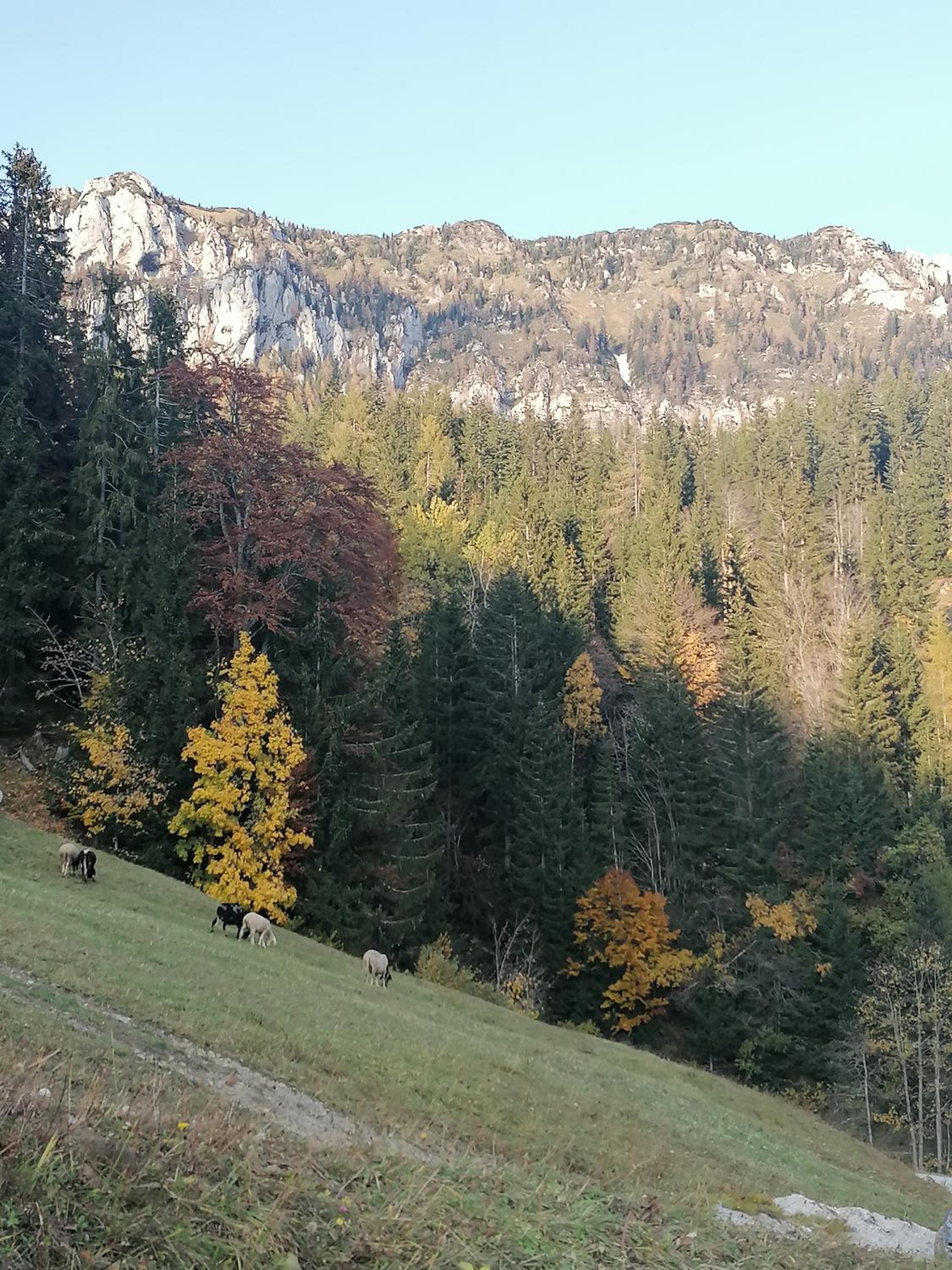 Photo 42