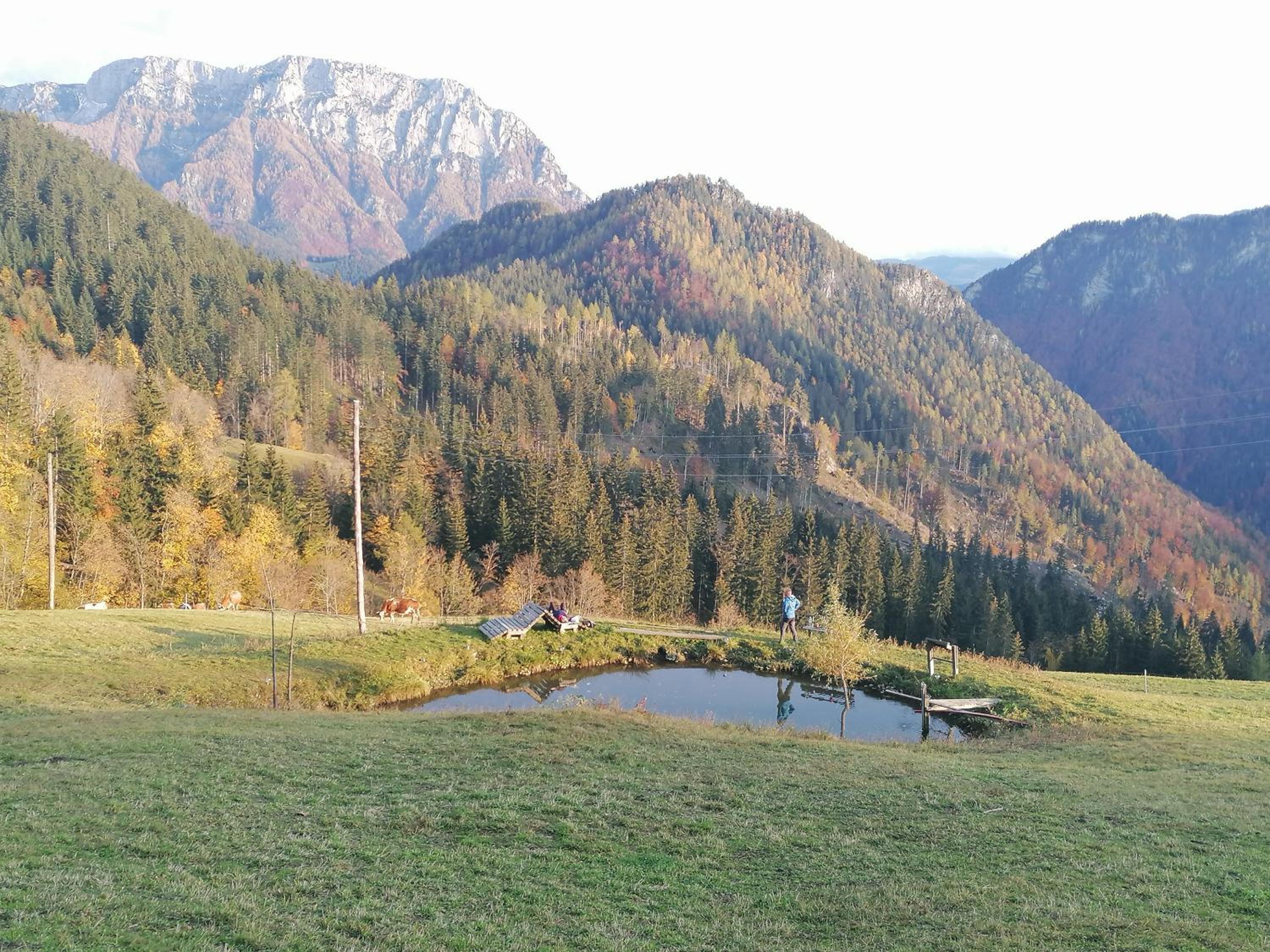 Photo 44