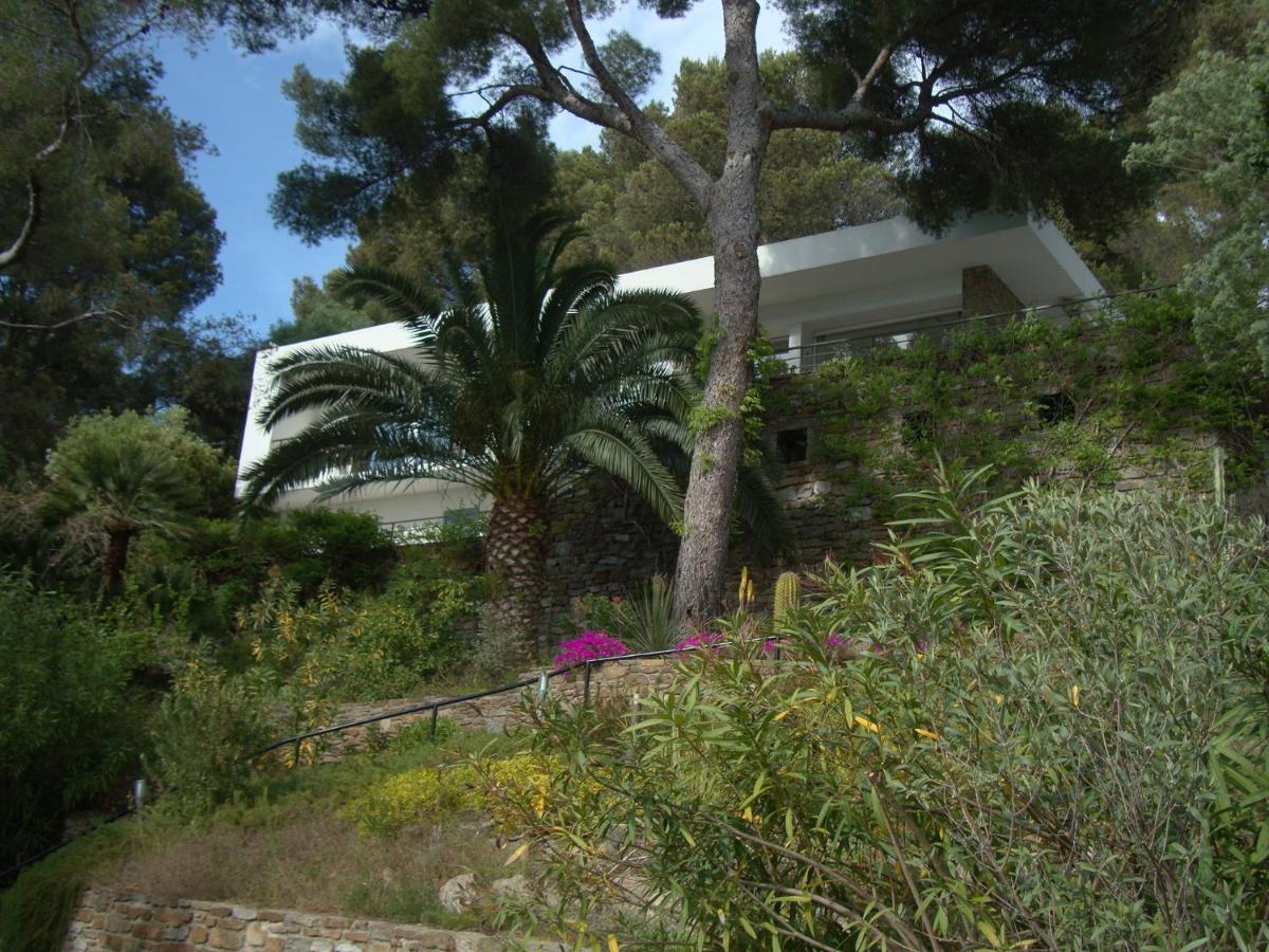 Photo 8