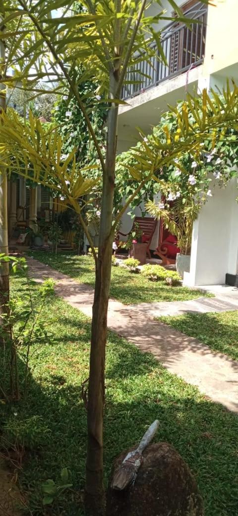 Mandara Rest