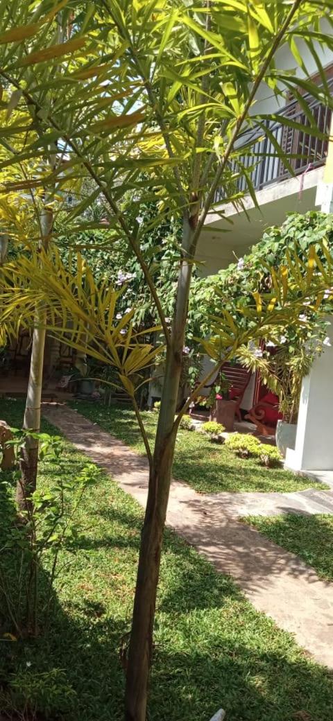 Mandara Rest
