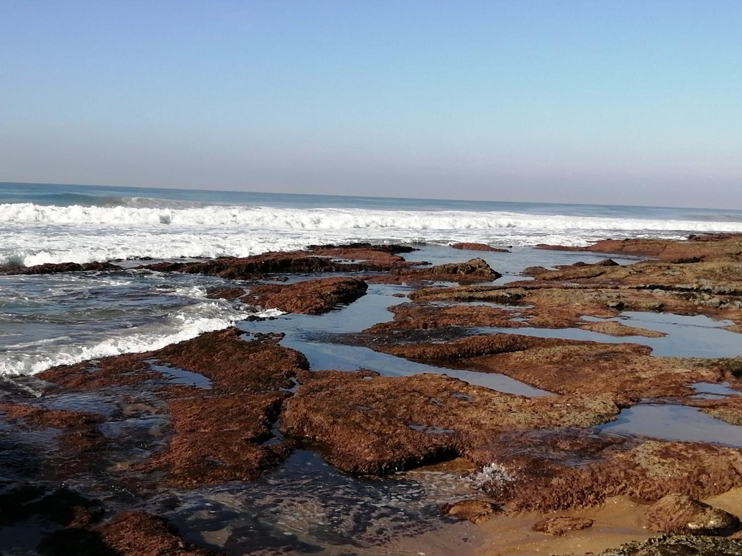 Pennington Ocean View