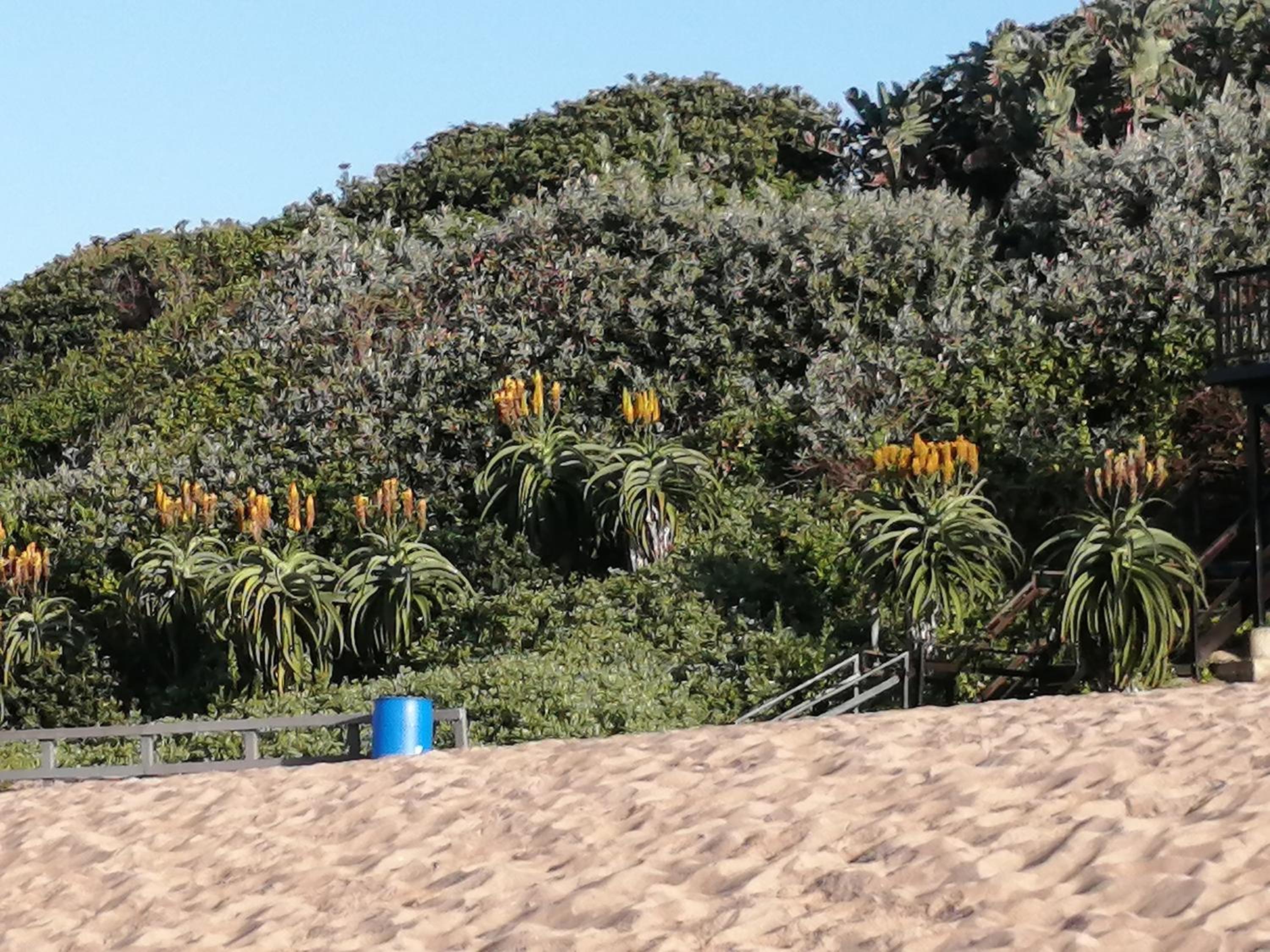 Pennington Ocean View