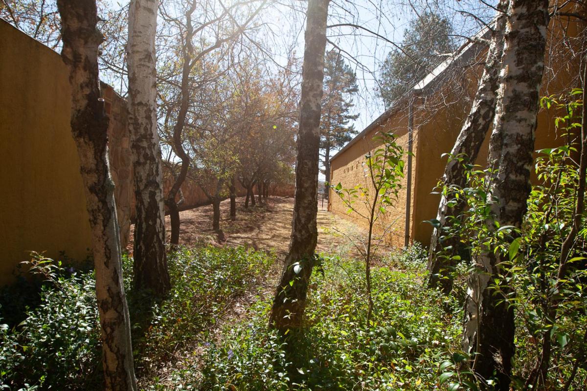 Sanctuary view 5
