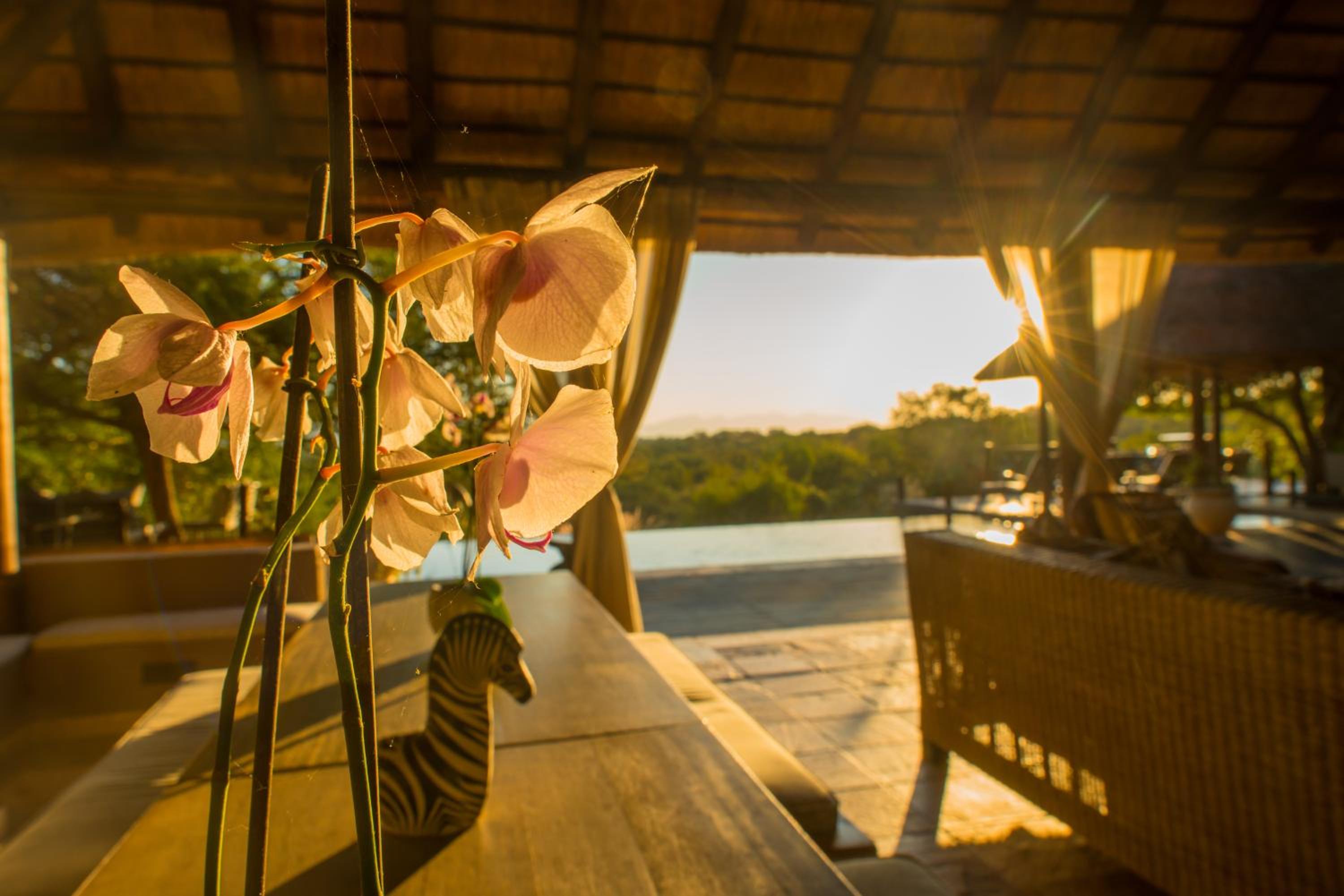 Khaya Ndlovu Safari Manor