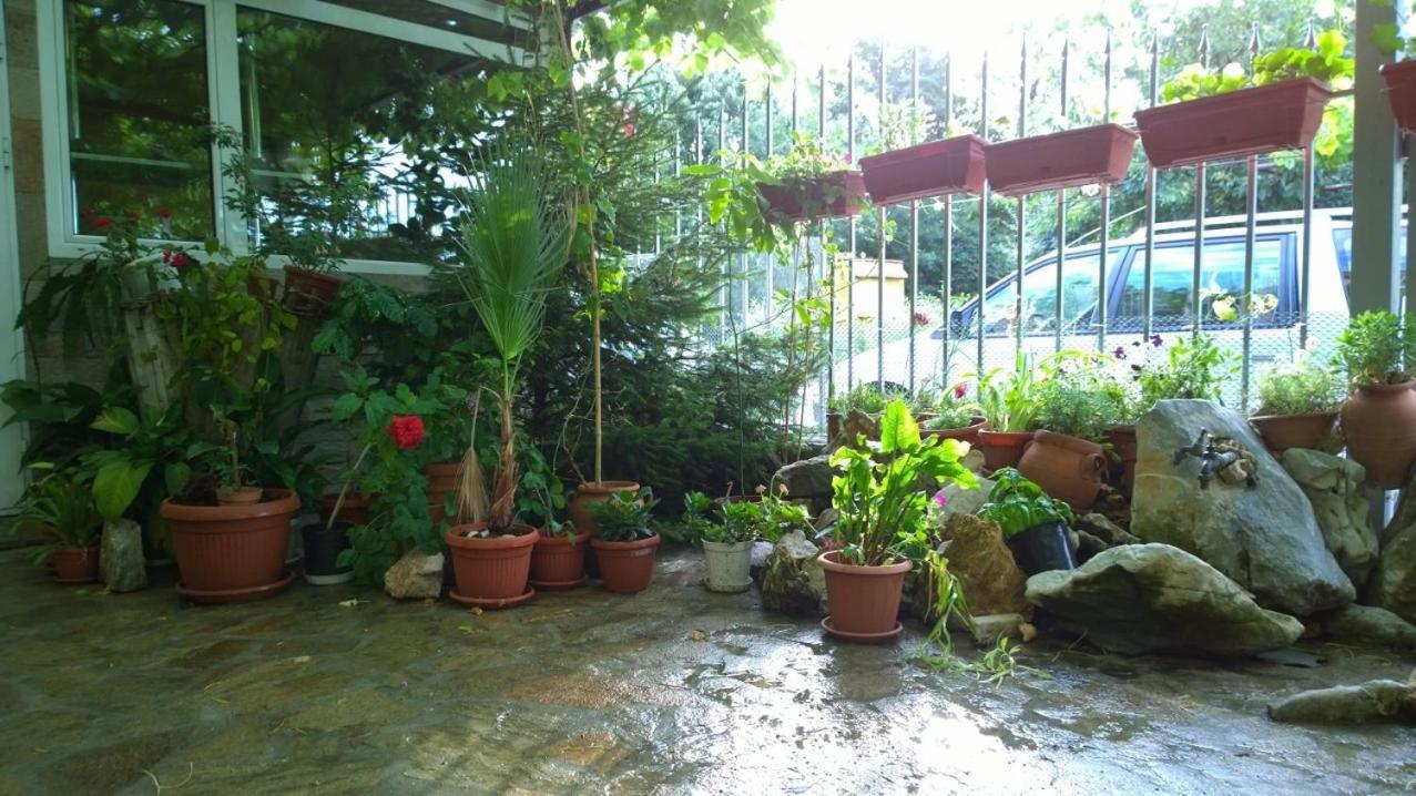House of Flowers