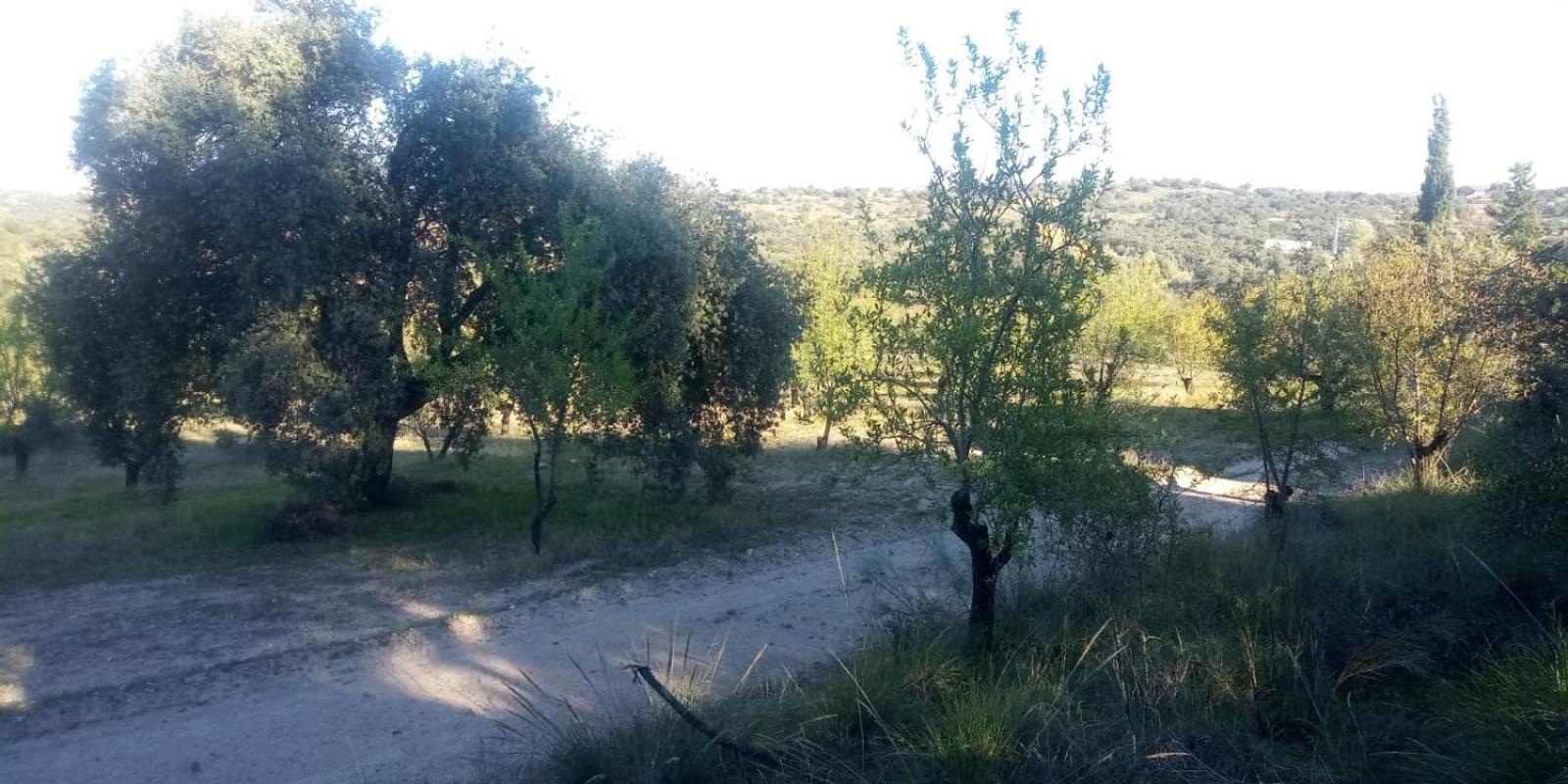 Casa Rural en Las Nieves view 4