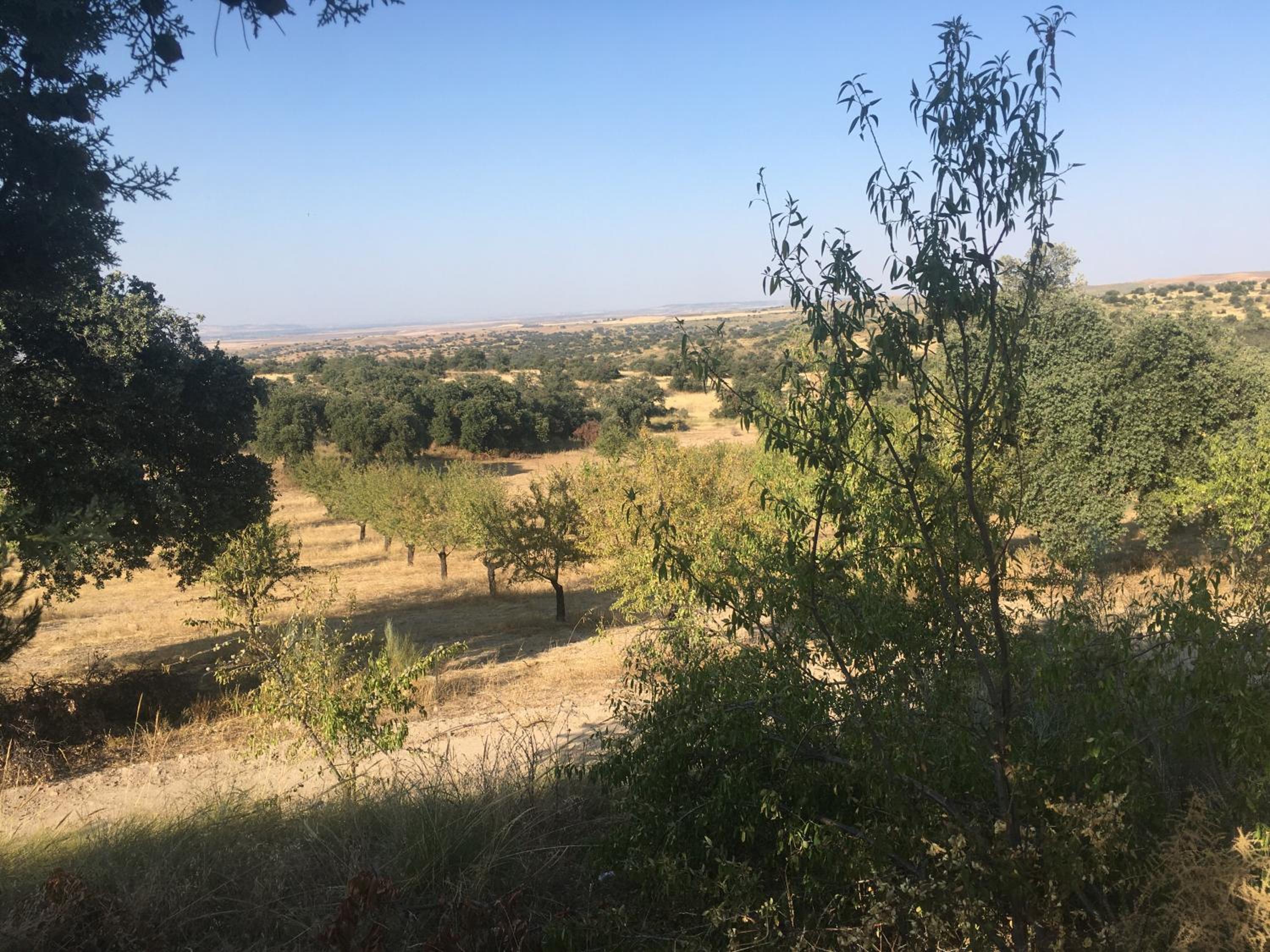 Casa Rural en Las Nieves view 3